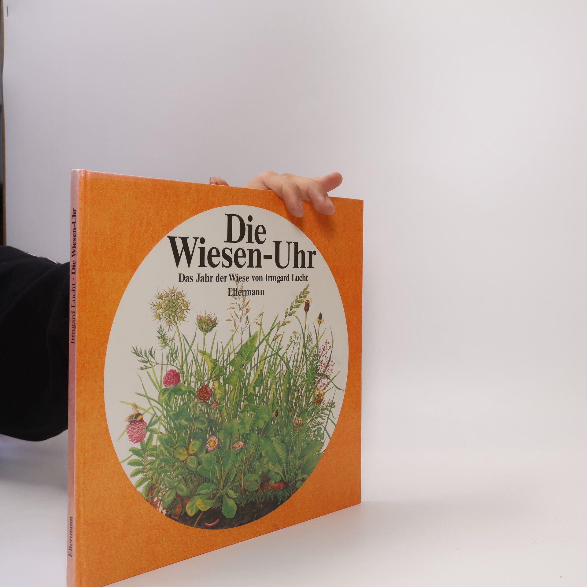 Irmgard Lucht Die Wiesen-Uhr