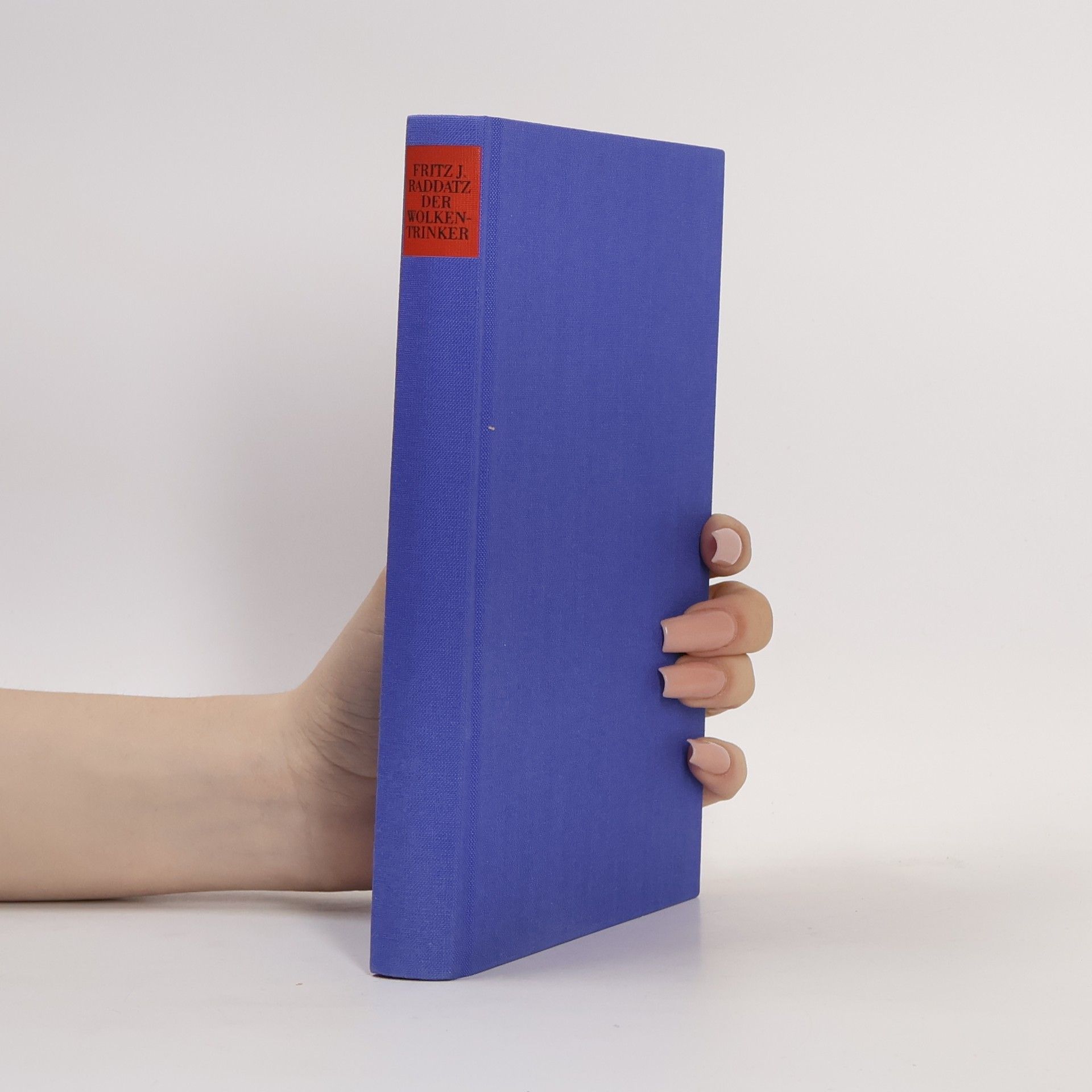 Fritz Joachim Raddatz Der Wolkentrinker