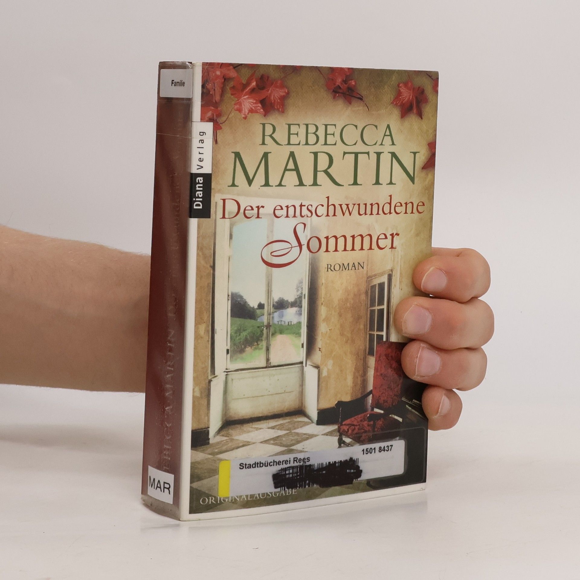 Rebecca Martin Der entschwundene Sommer