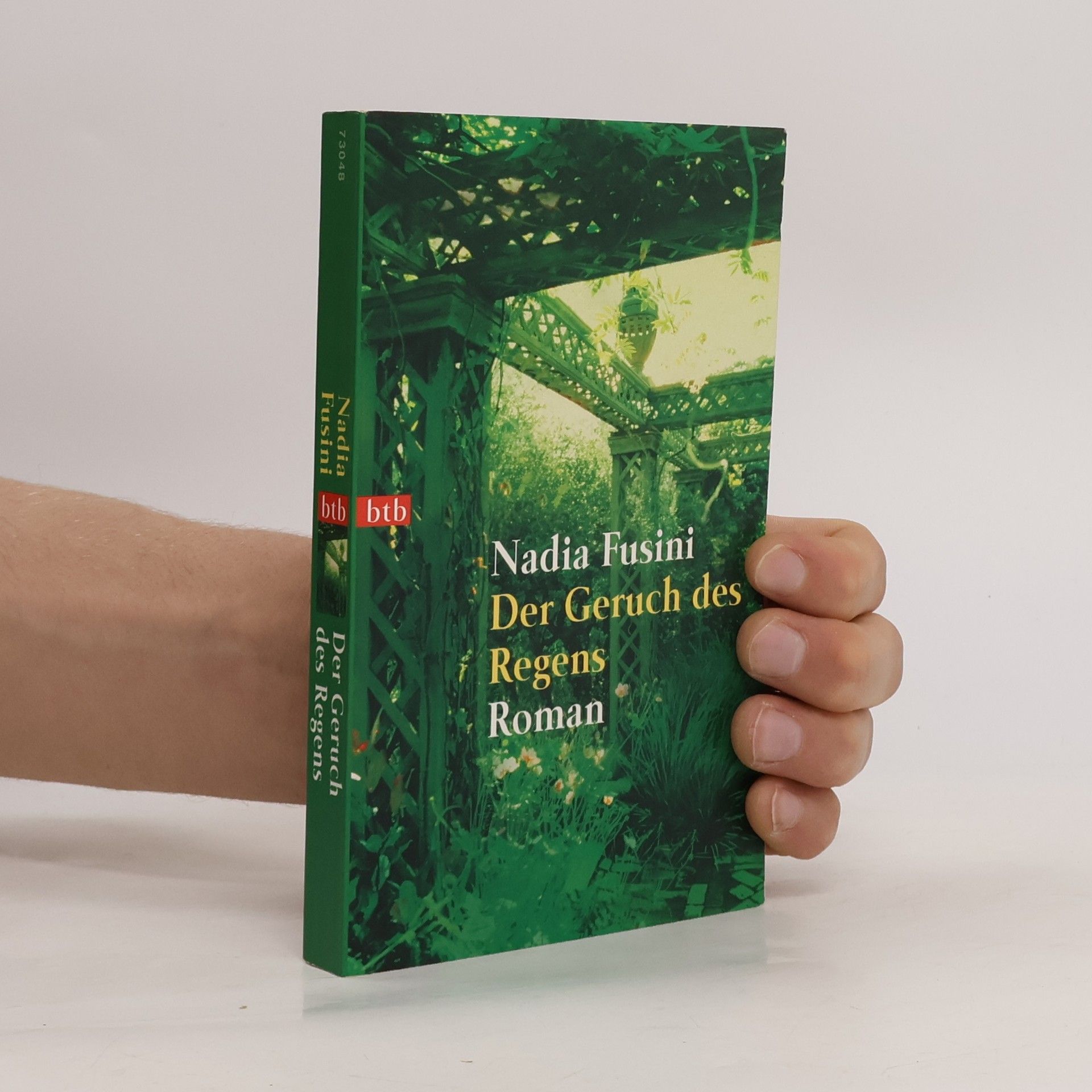Nadia Fusini Der Geruch des Regens