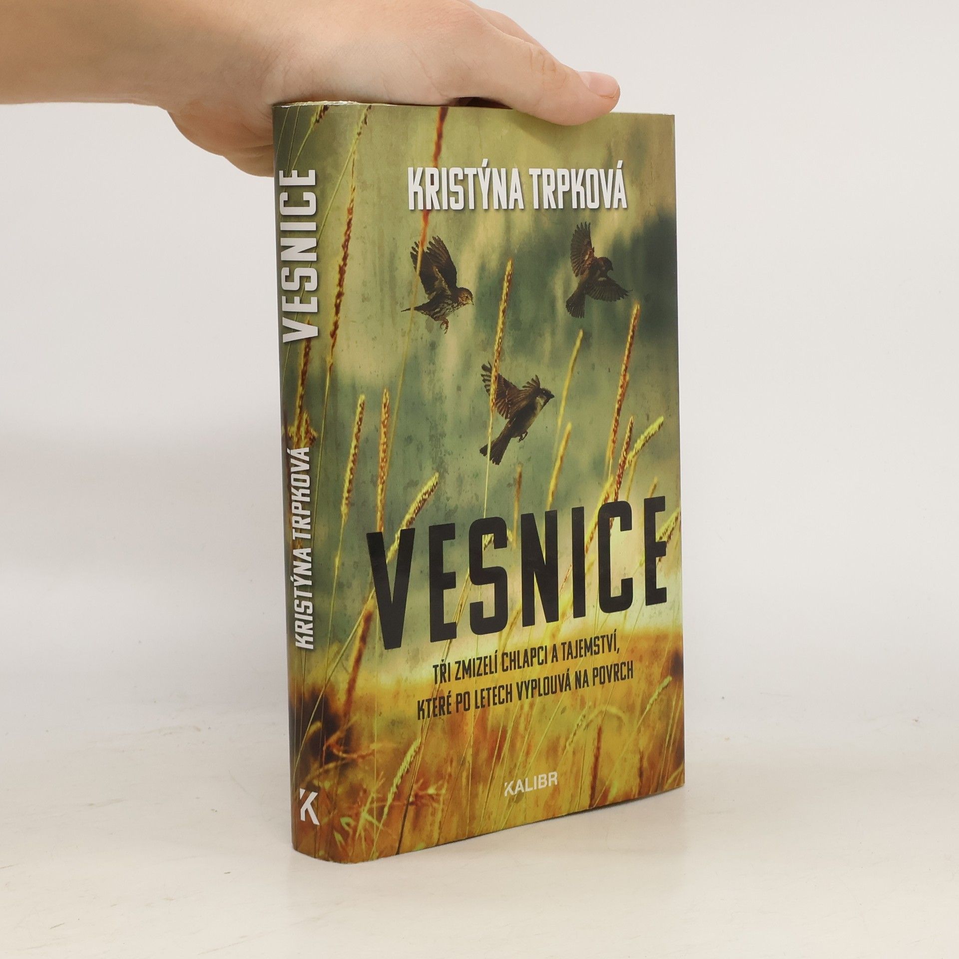 Kristýna Trpková Vesnice