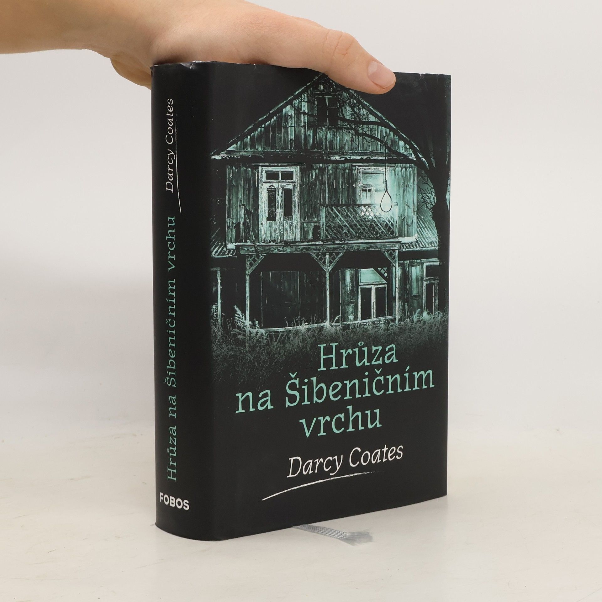 Darcy Coates Hrůza na Šibeničním vrchu