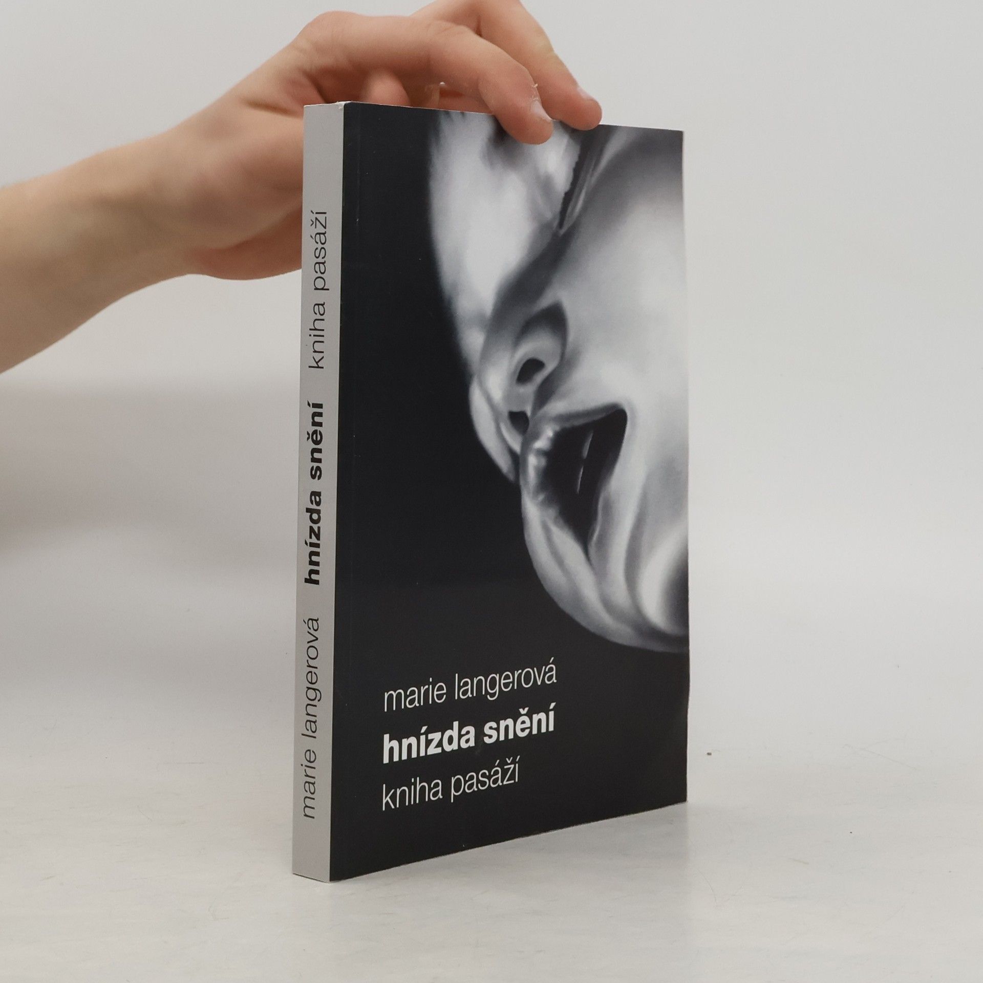 Marie Langerová Hnízda snění