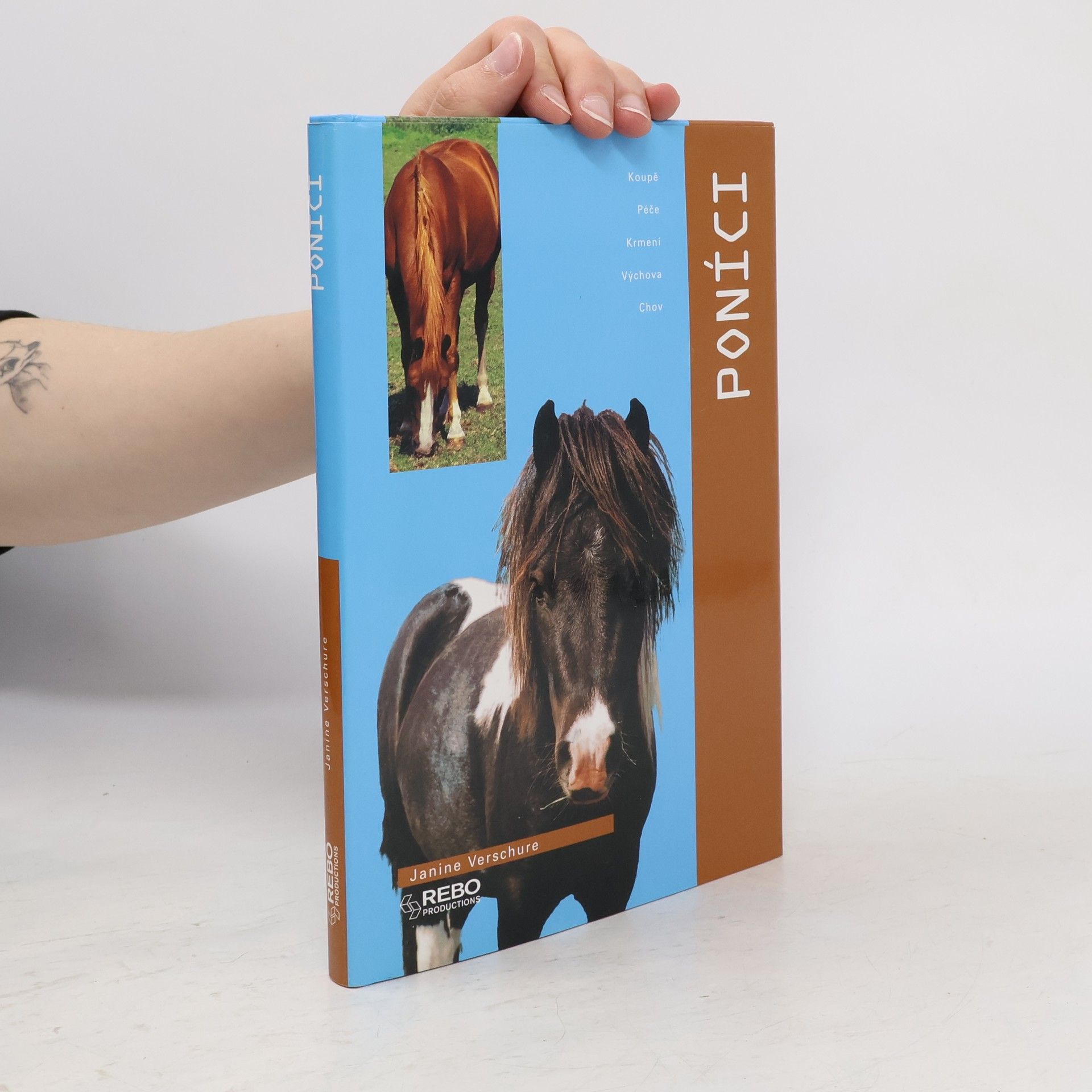 Janine Verschure Poníci