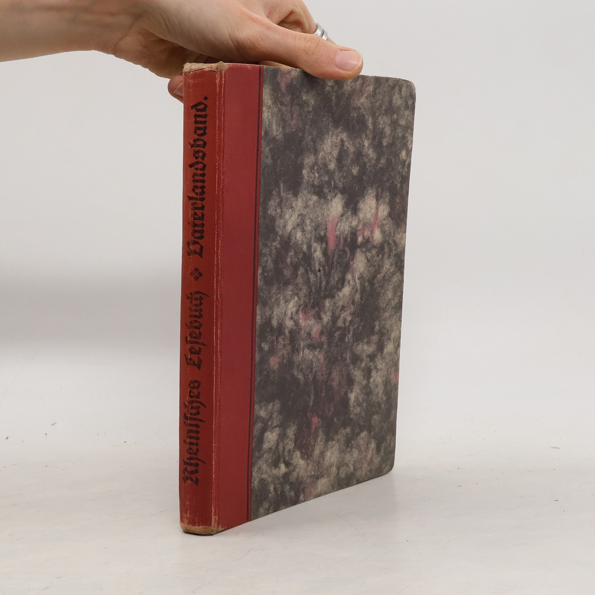 Autorenkollektiv Rheinisches Lesebuch