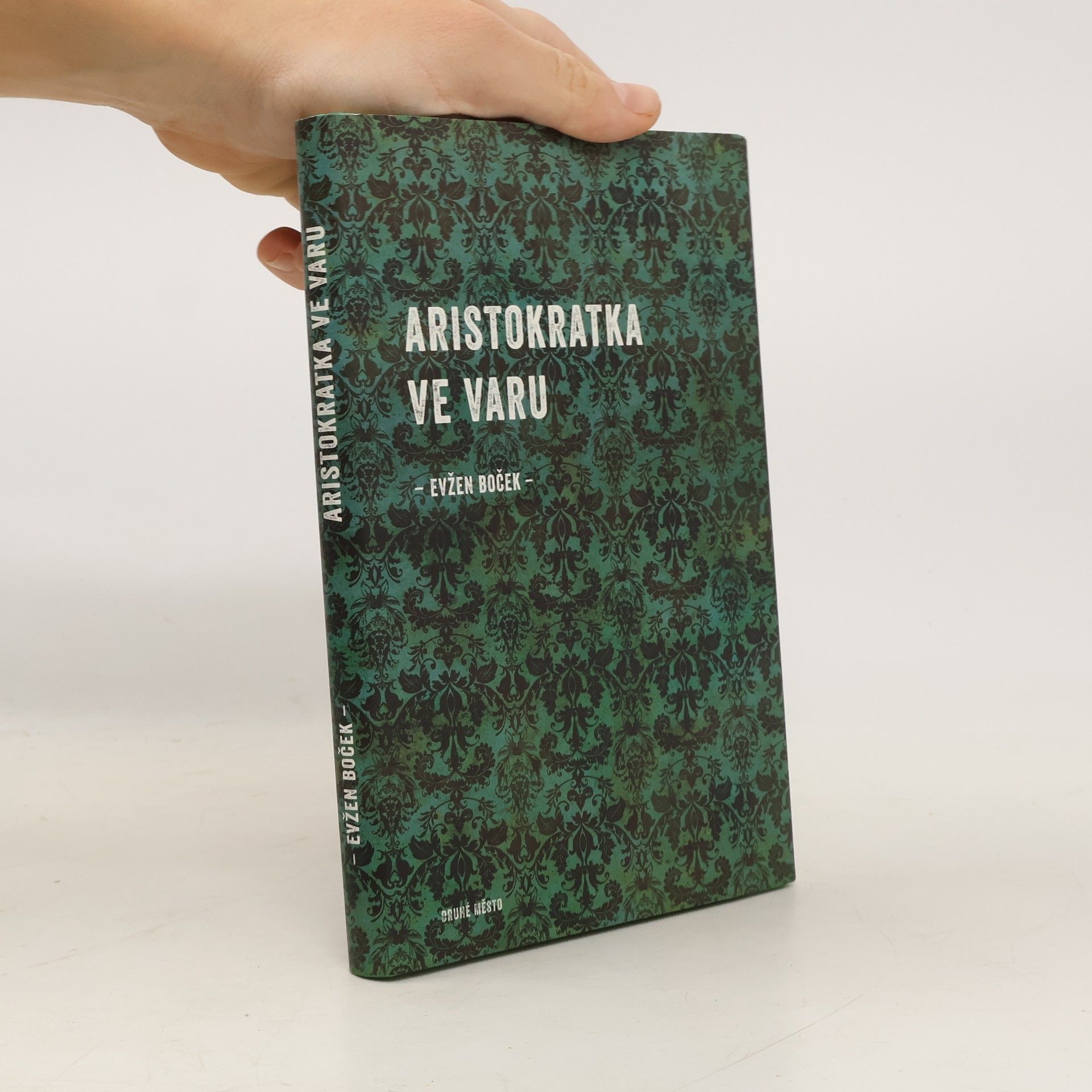 Evžen Boček Aristokratka ve varu