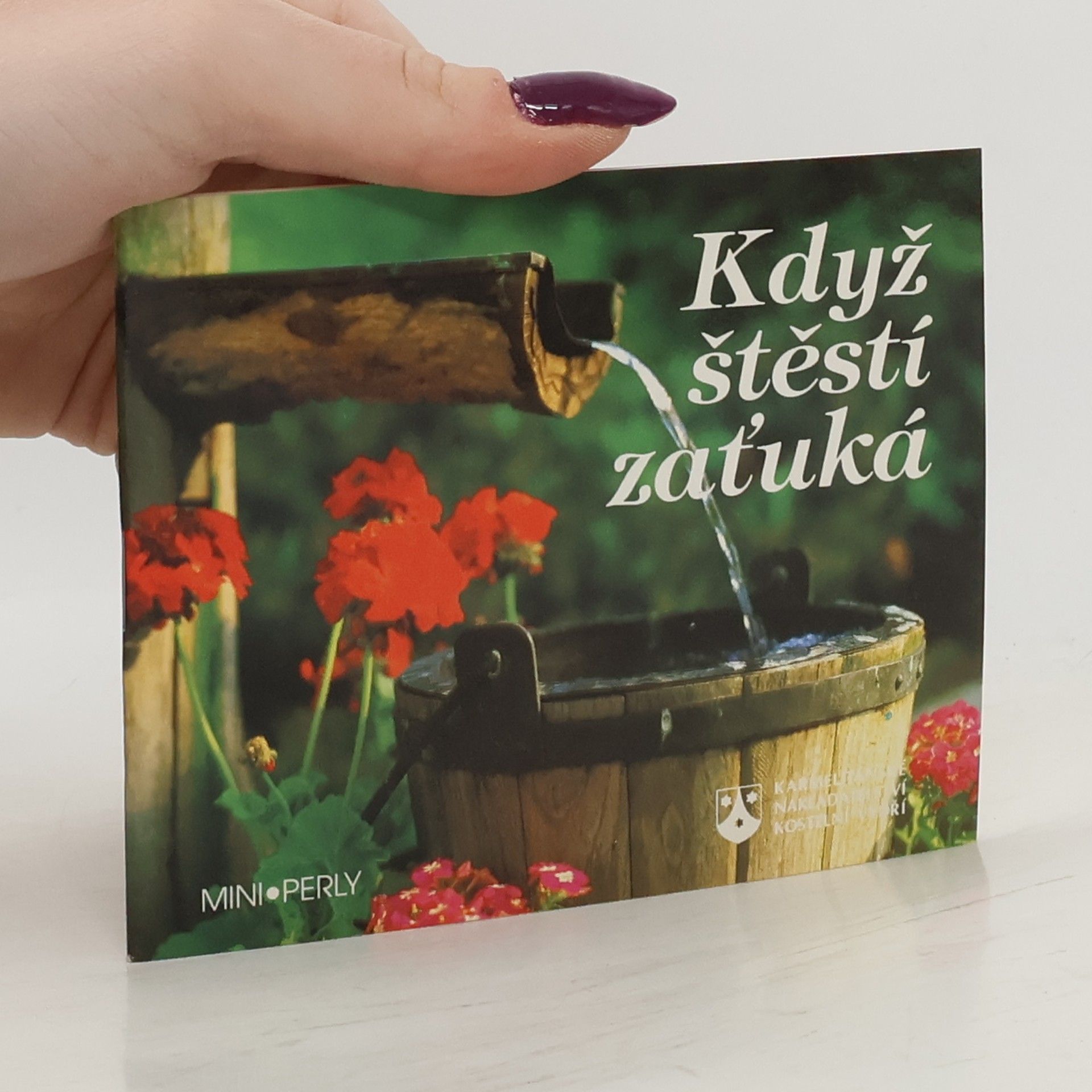 Autorenkollektiv Když štěstí zaťuká