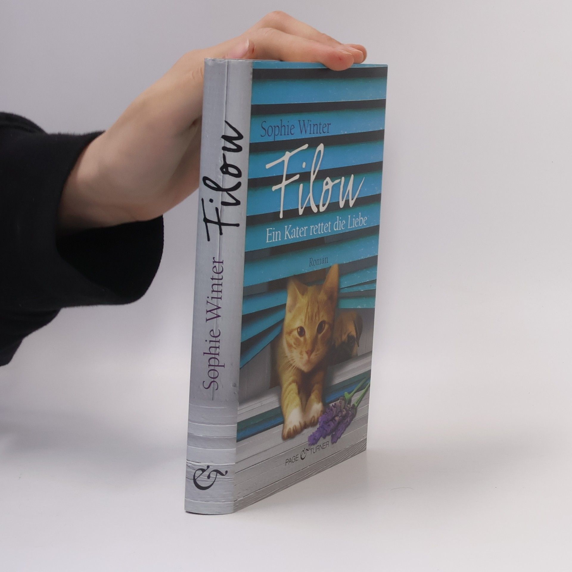 Sophie Winter Filou. Ein Kater rettet die Liebe
