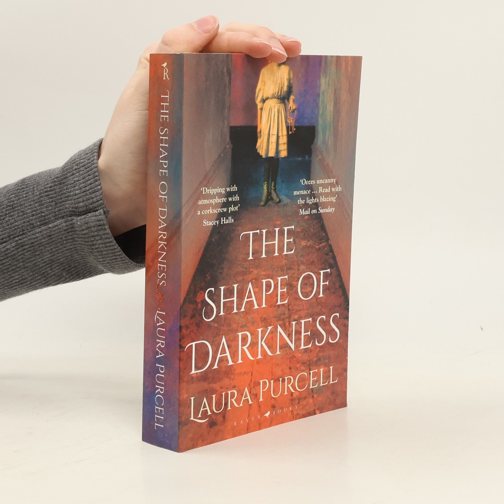 Laura Purcell The Shape of Darkness