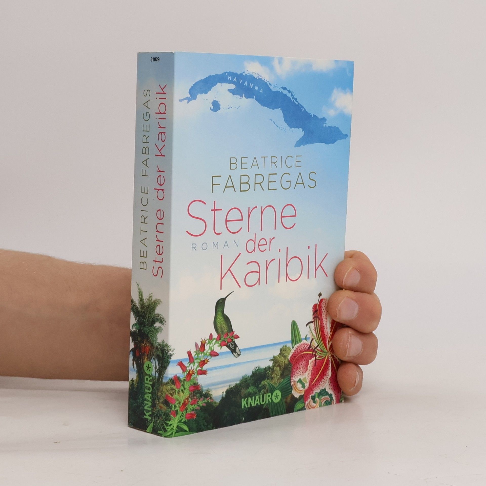 Beatrice Fabregas Sterne der Karibik