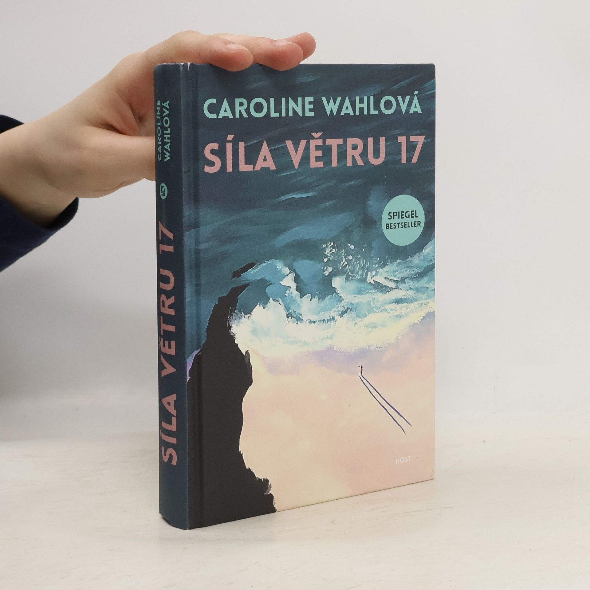 Caroline Wahl Síla větru 17