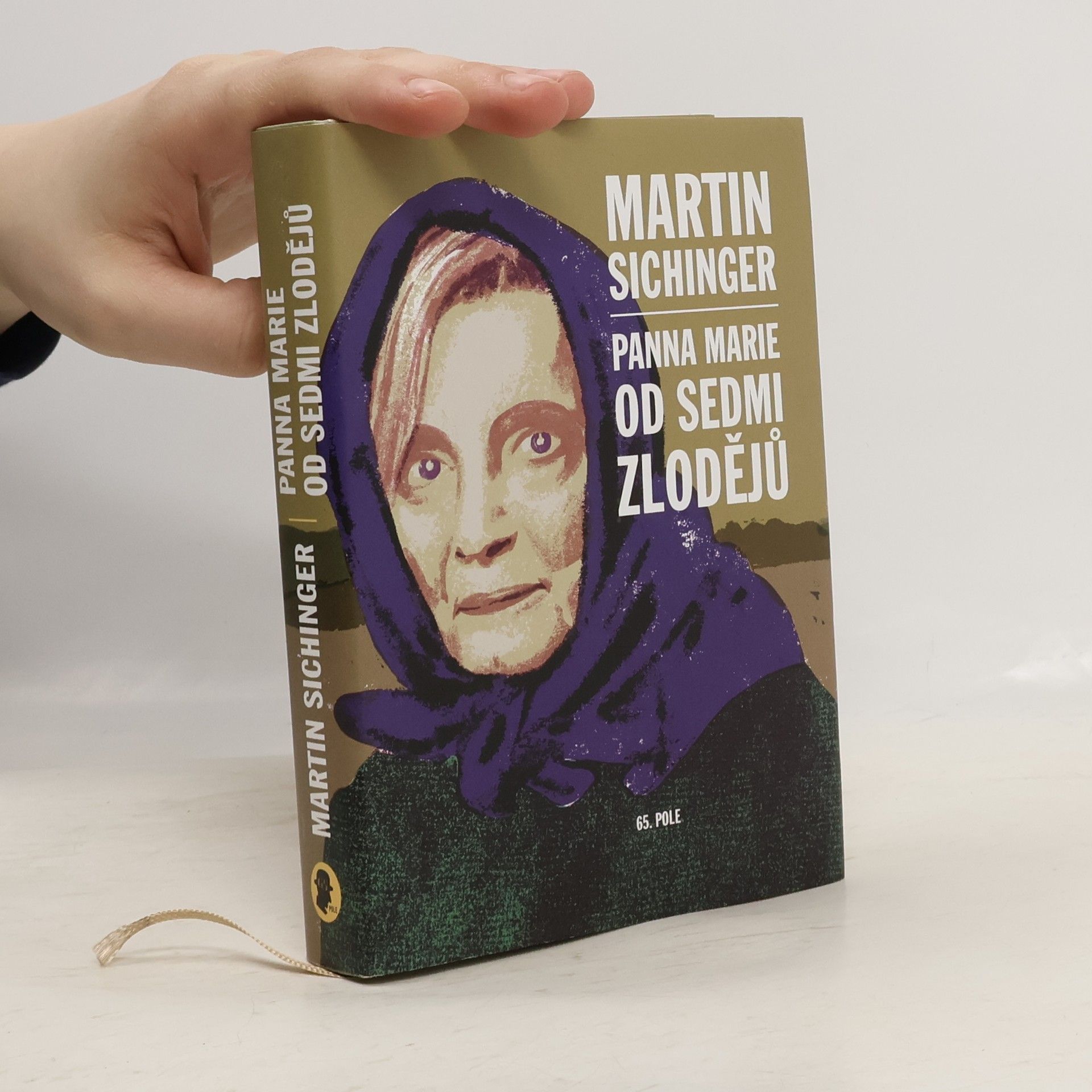 Martin Sichinger Panna Marie od Sedmi zlodějů