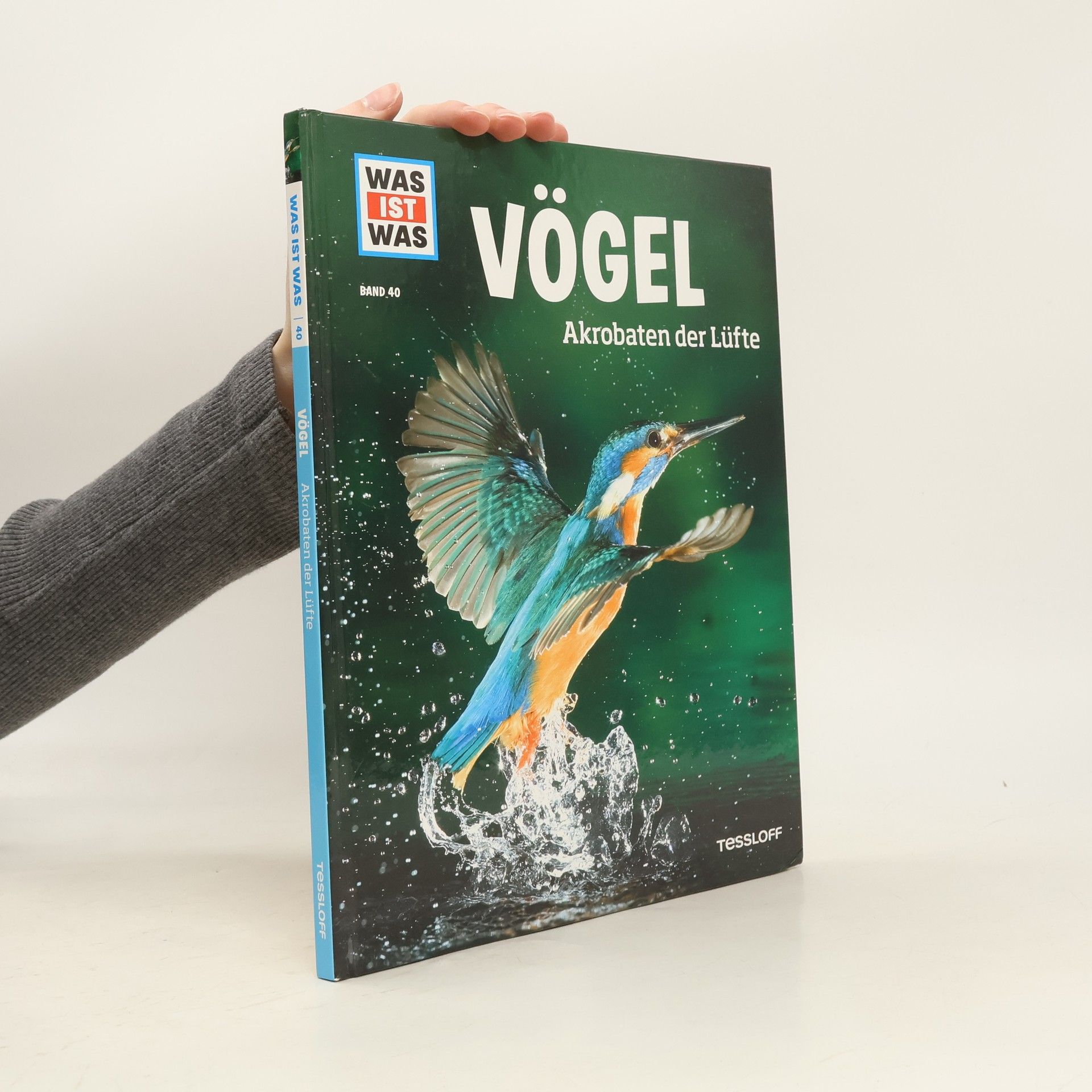 Alexandra Werdes Vögel