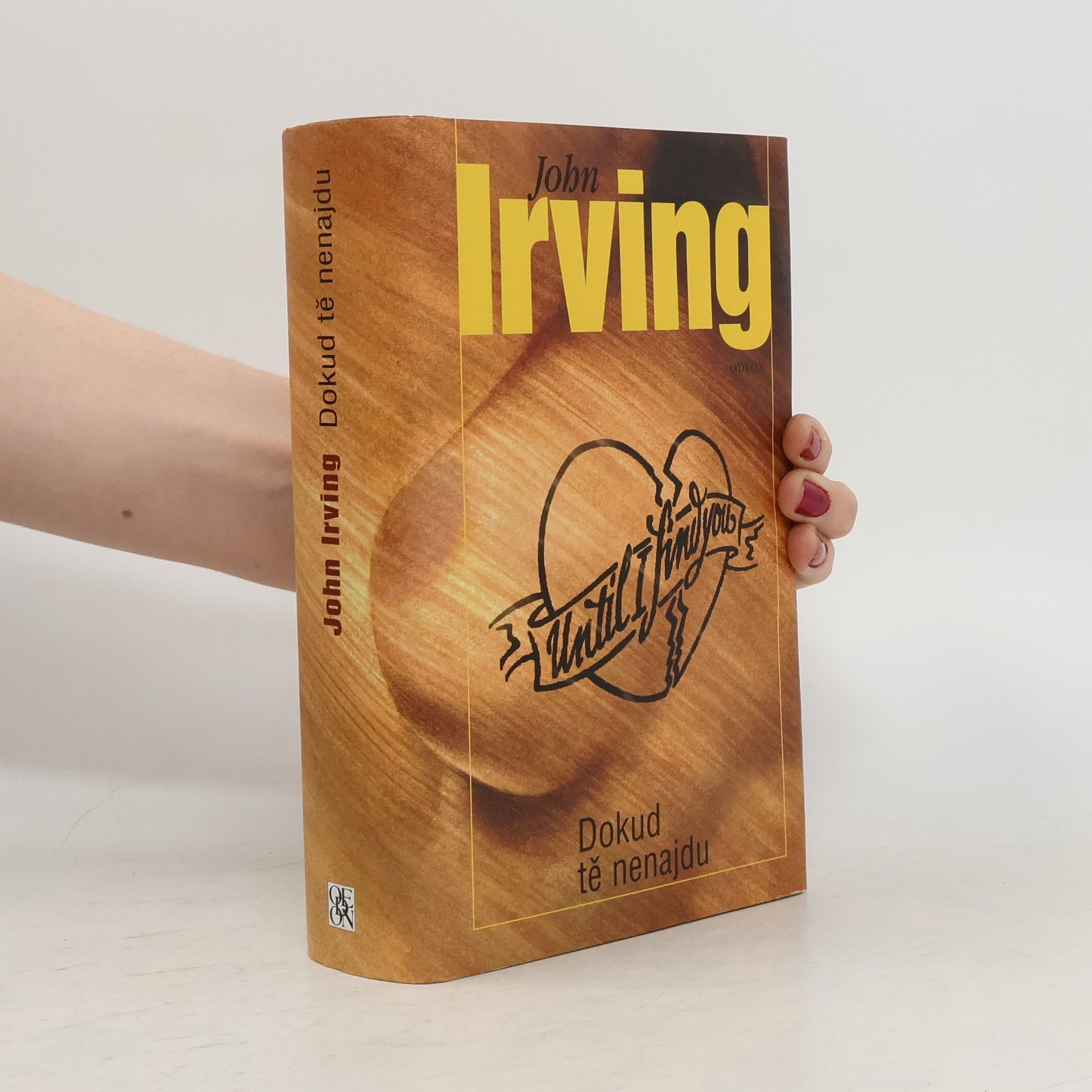 John Irving Dokud tě nenajdu