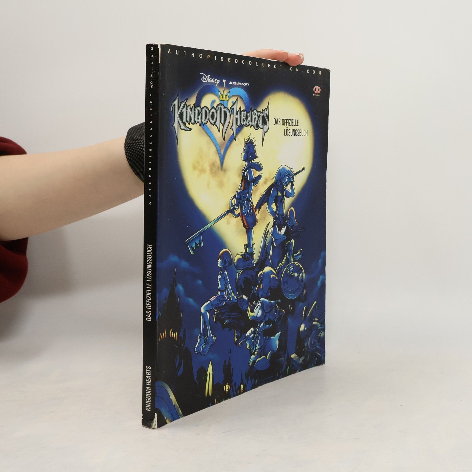 Piggyback Kingdom Hearts