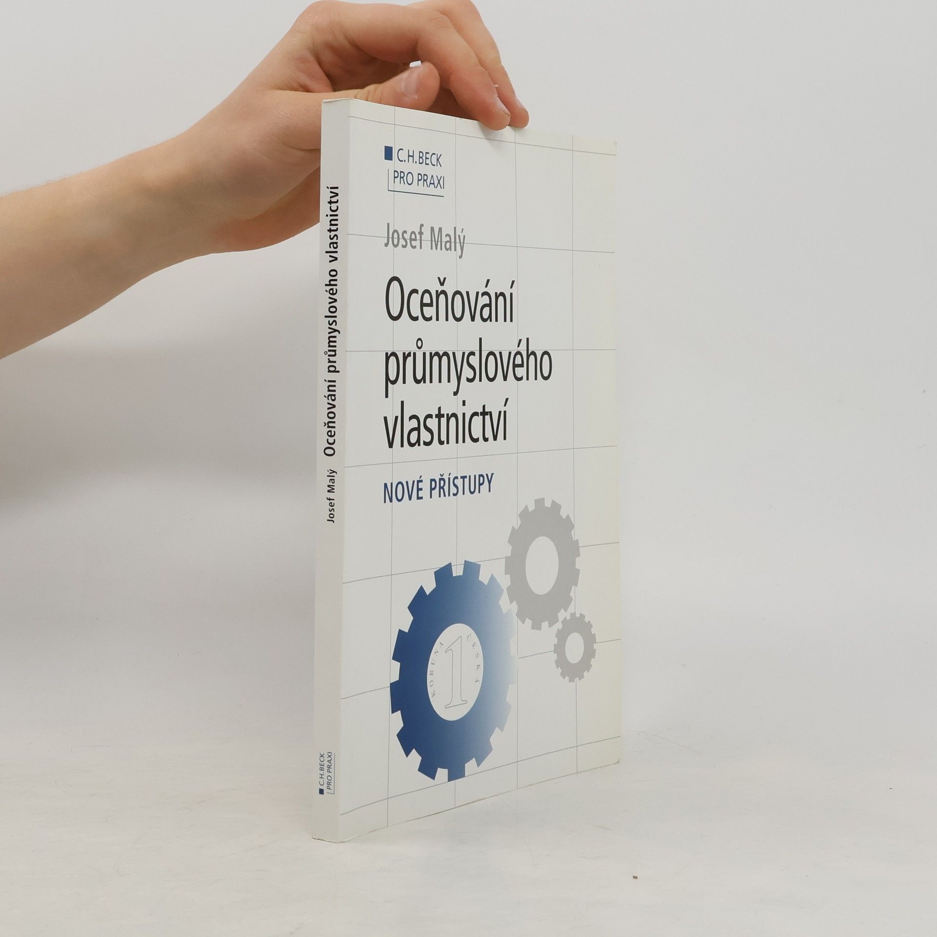 Oceňování průmyslového vlastnictví