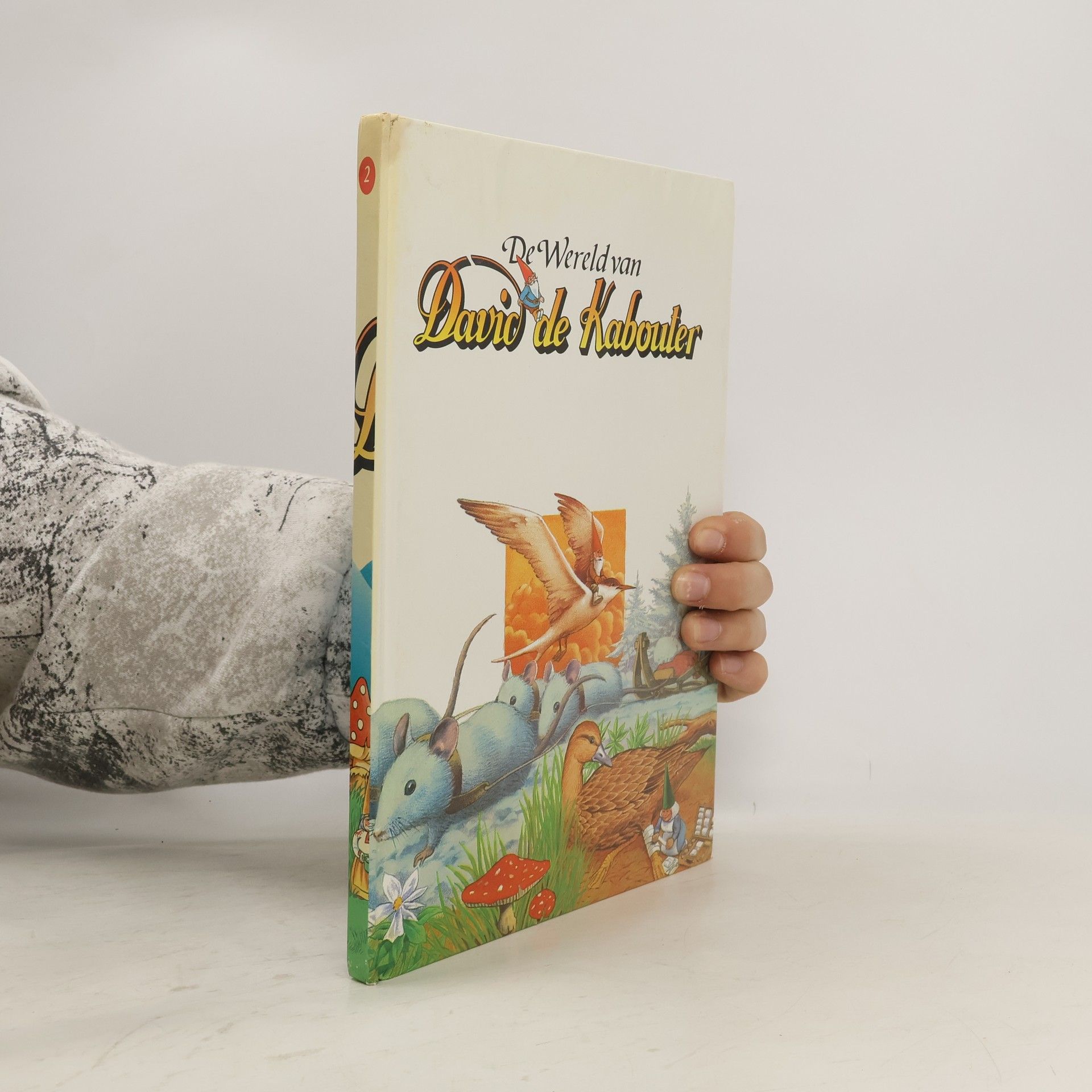 Hanny Mensing De Wereld van David de Kabouter