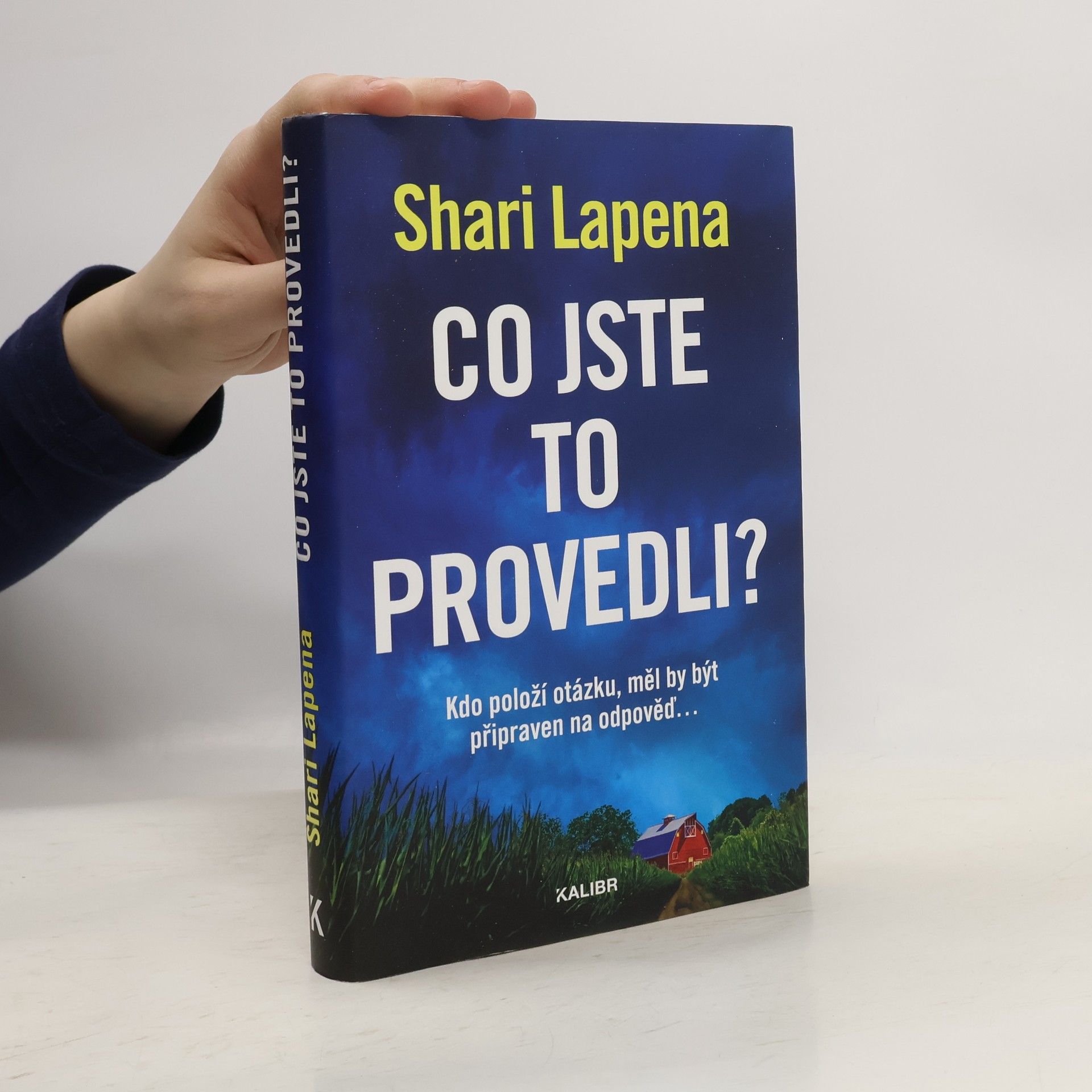 Shari Lapena Co jste to provedli?