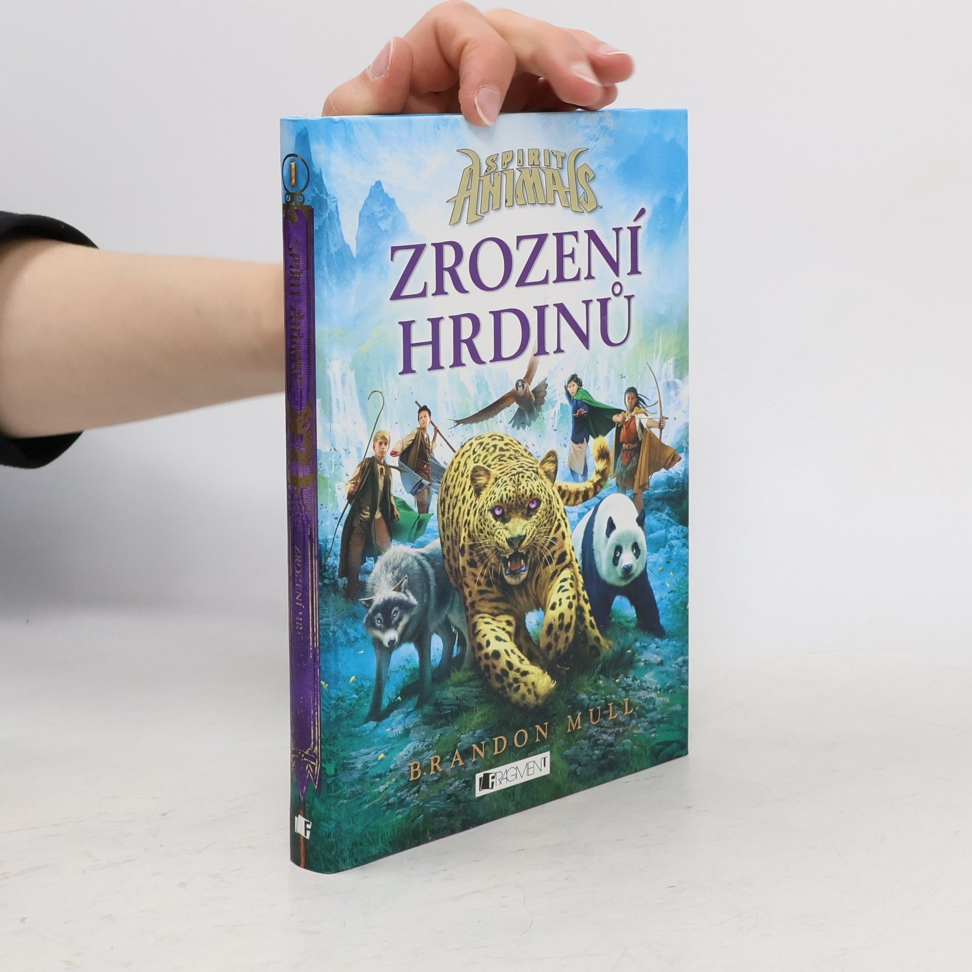 Brandon Mull Zrození hrdinů