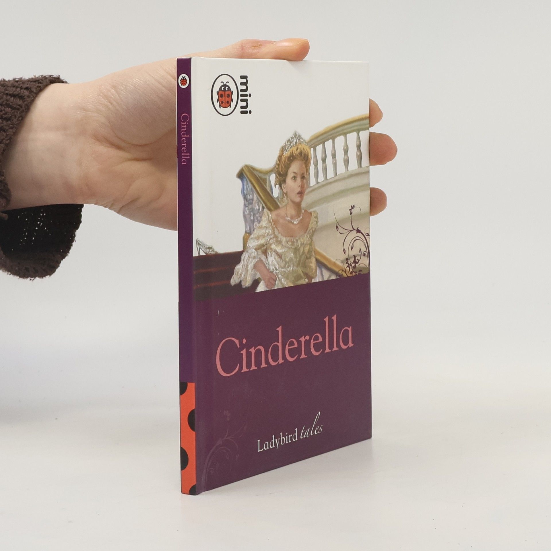 Paul Finn Ladybird Tales: Cinderella