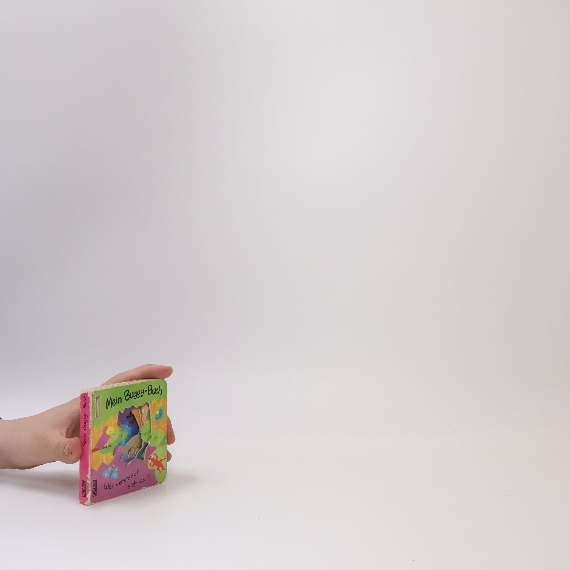 James Croft Mein Buggy-Buch