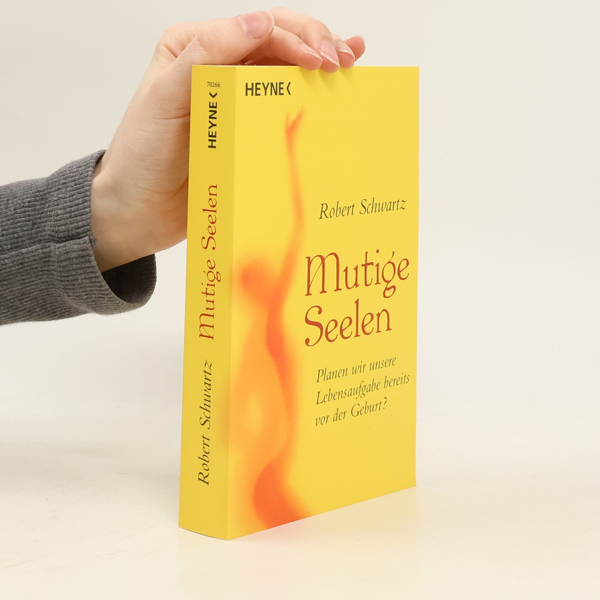 Robert Schwartz Mutige Seelen