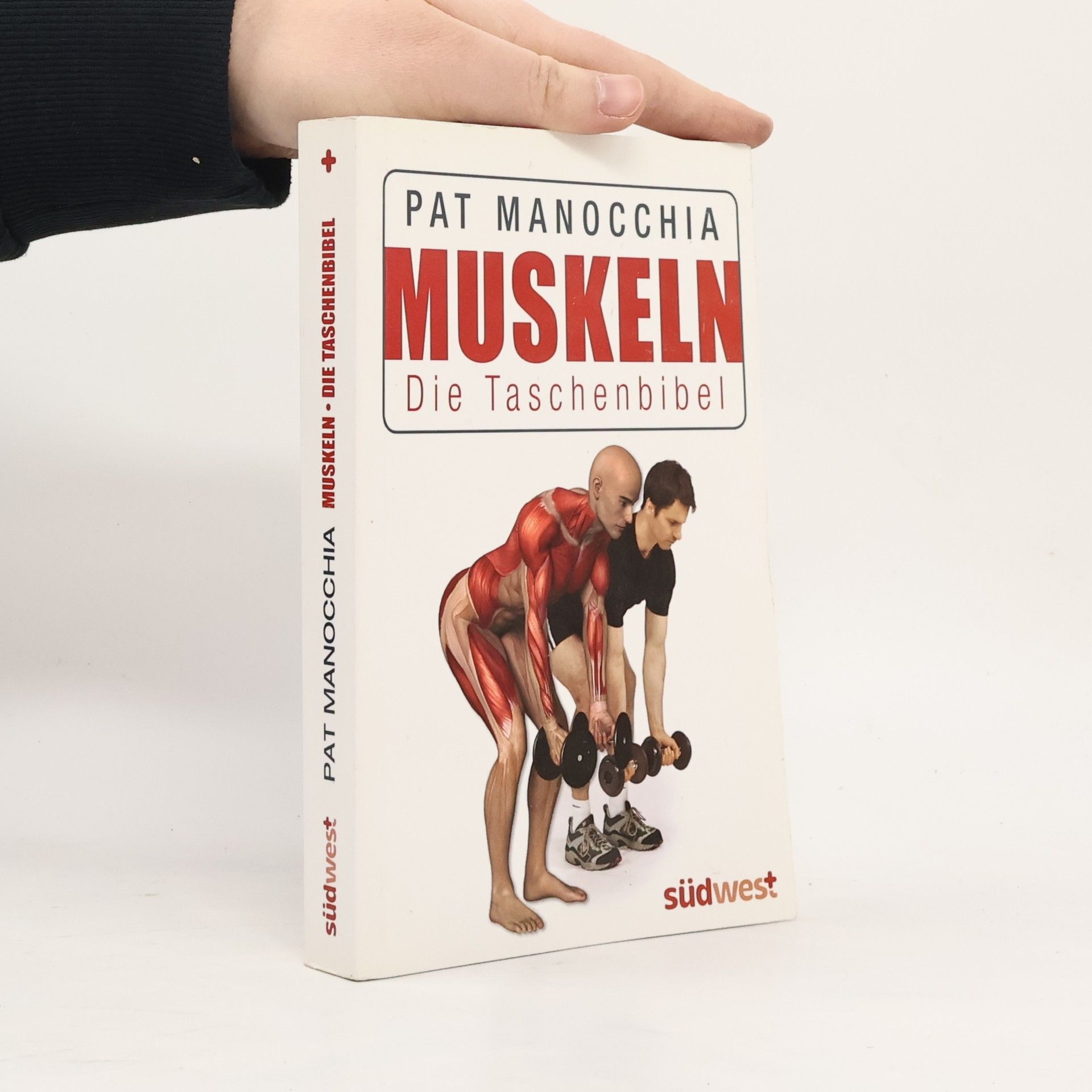 Pat Manocchia Muskeln