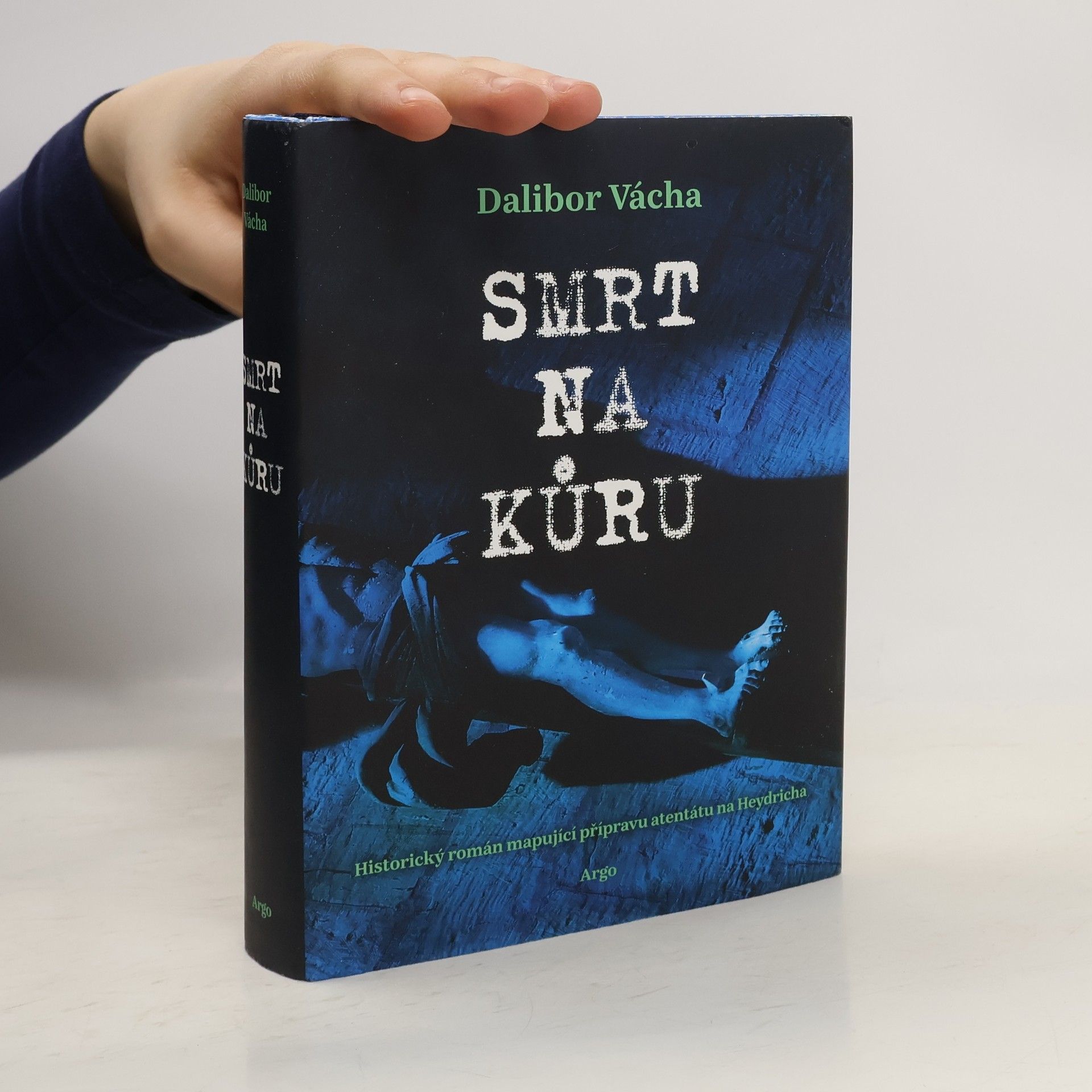 Dalibor Vácha Smrt na kůru