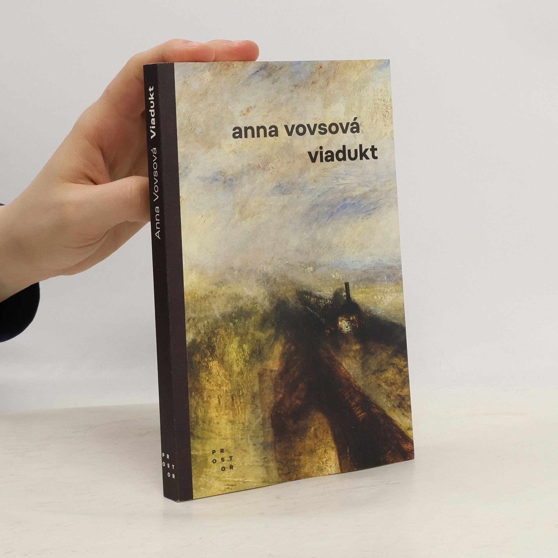 Anna Vovsová Viadukt