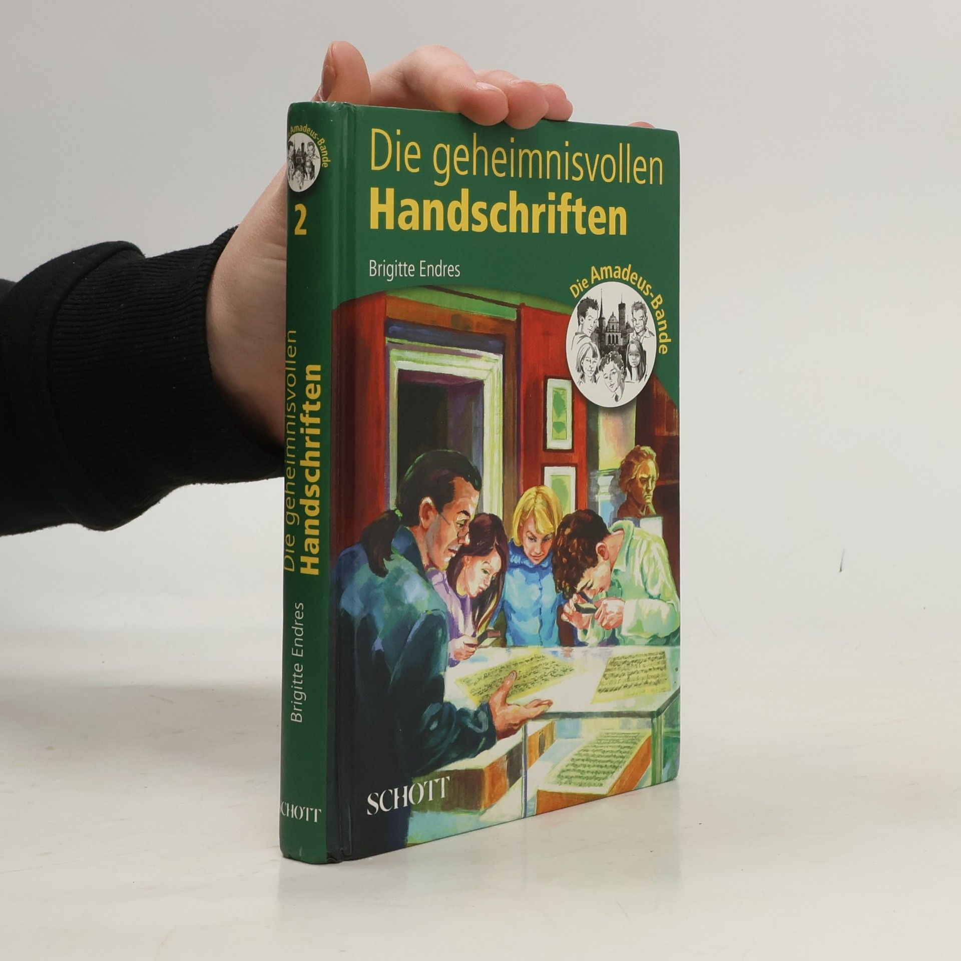 Brigitte Endres Die geheimnisvollen Handschriften