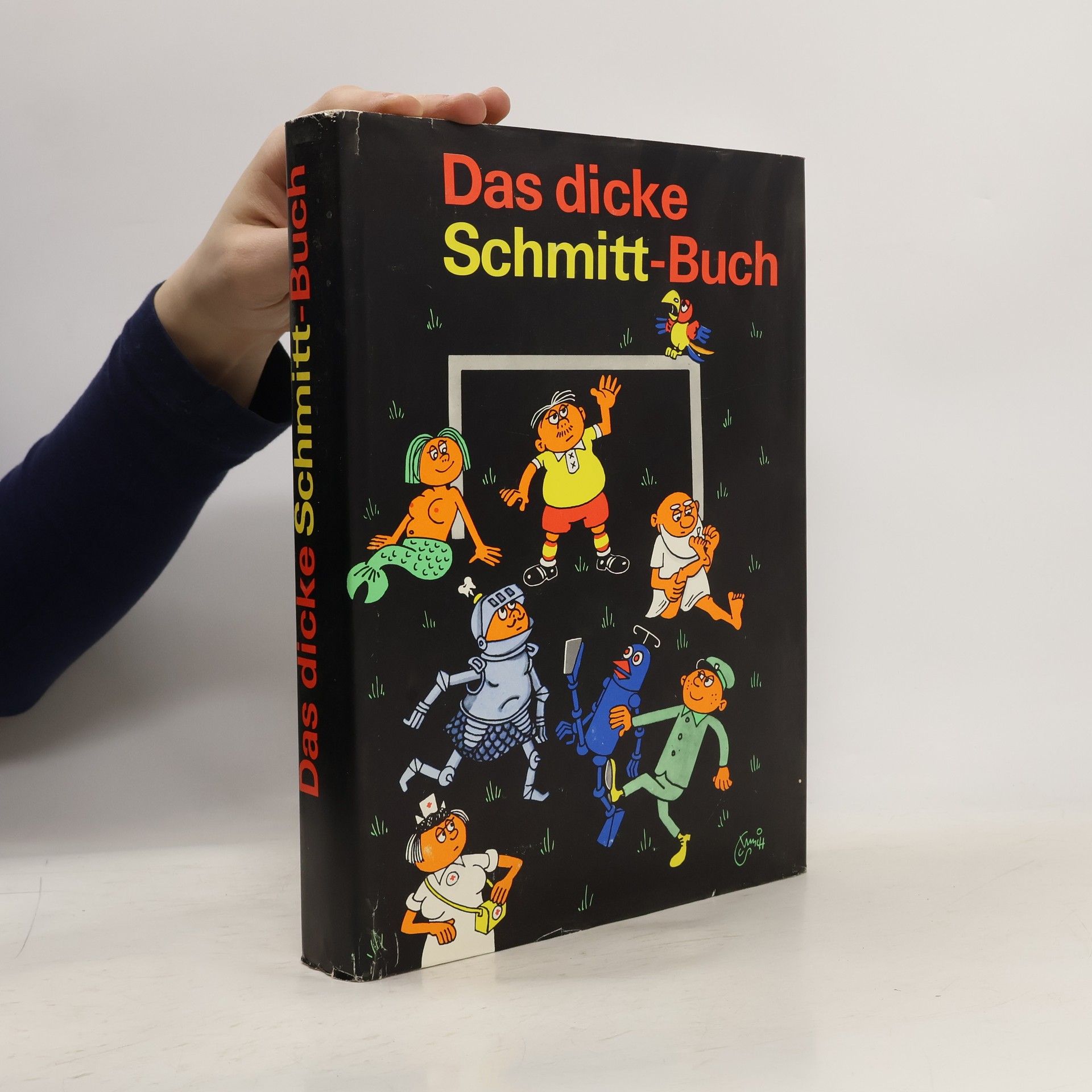 Autorenkollektiv Das dicke Schmitt-Buch