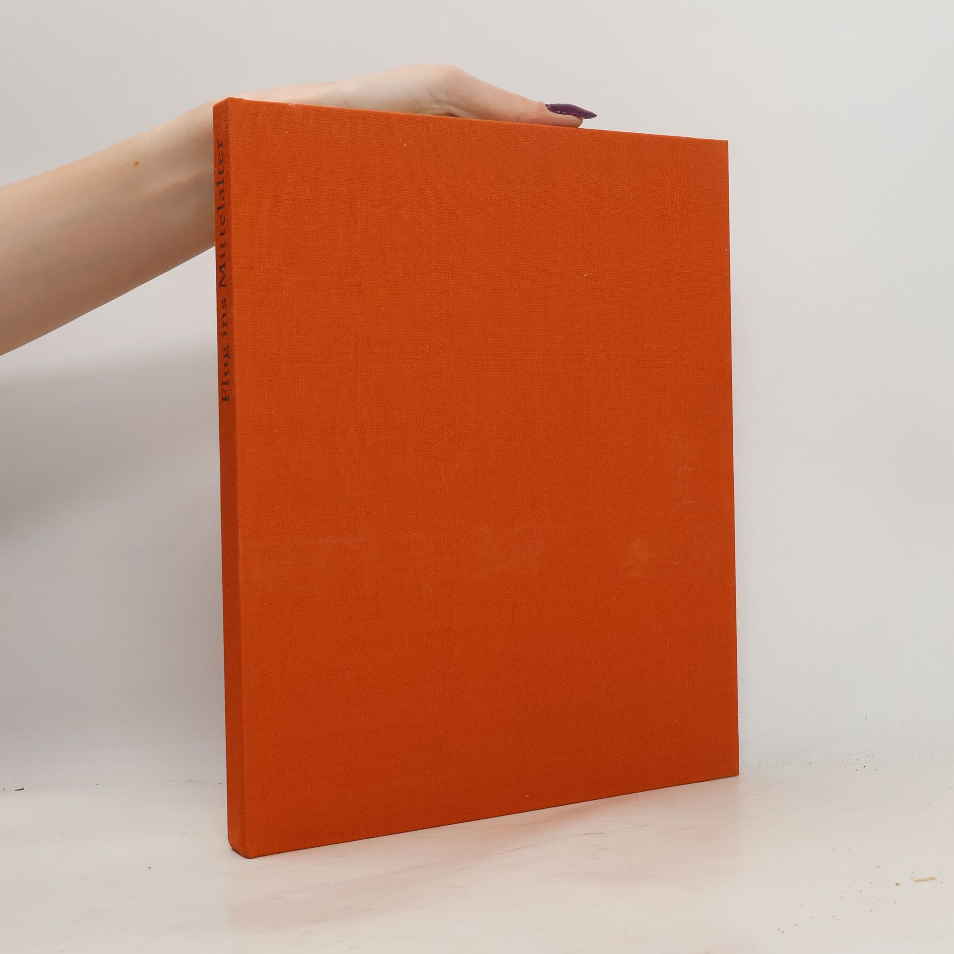 Stuart Morgan Flug ins Mittelalter. Burgen, Kirchen, Städte als Zeugen mittelalterlicher Kultur in der Schweiz