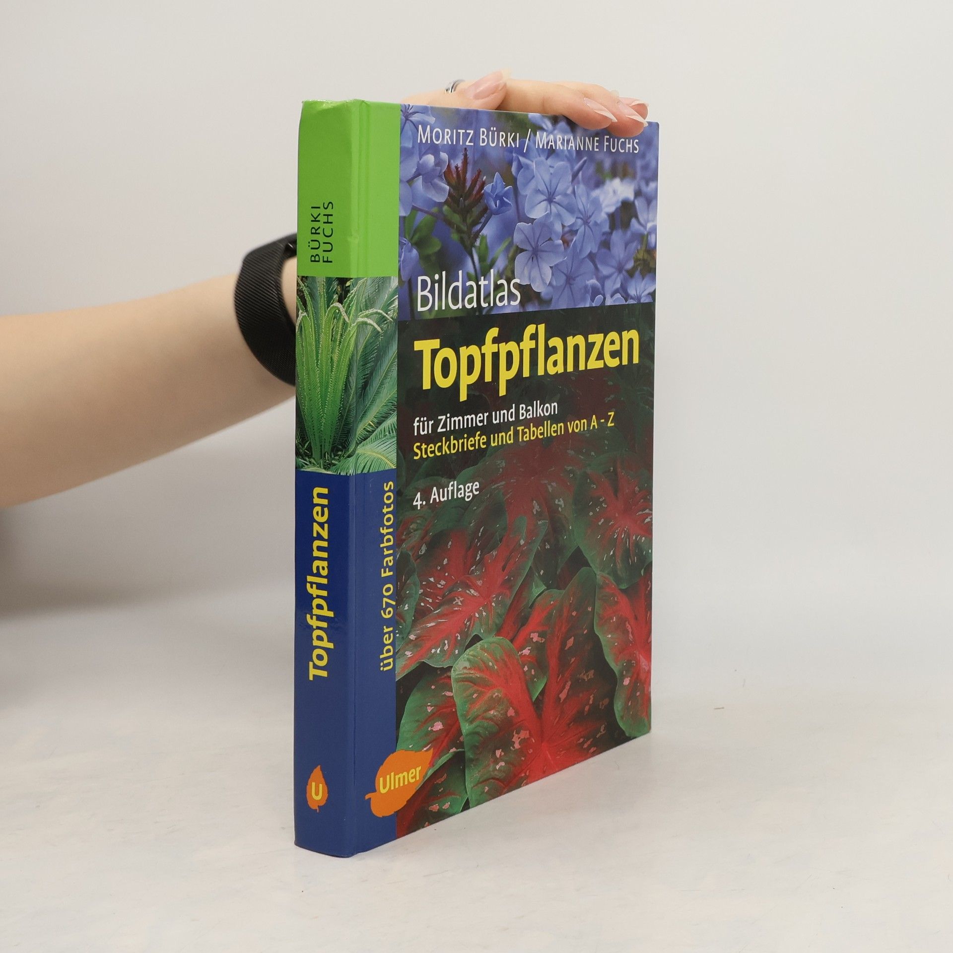 Moritz Bürki Bildatlas Topfpflanzen für Zimmer und Balkon