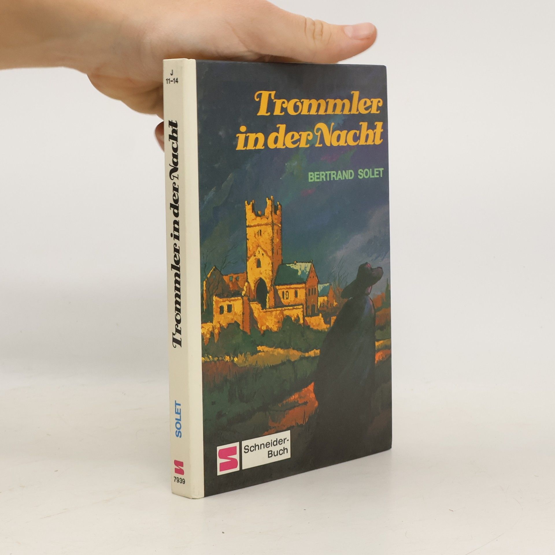 Bertrand Solet Trommler in der Nacht