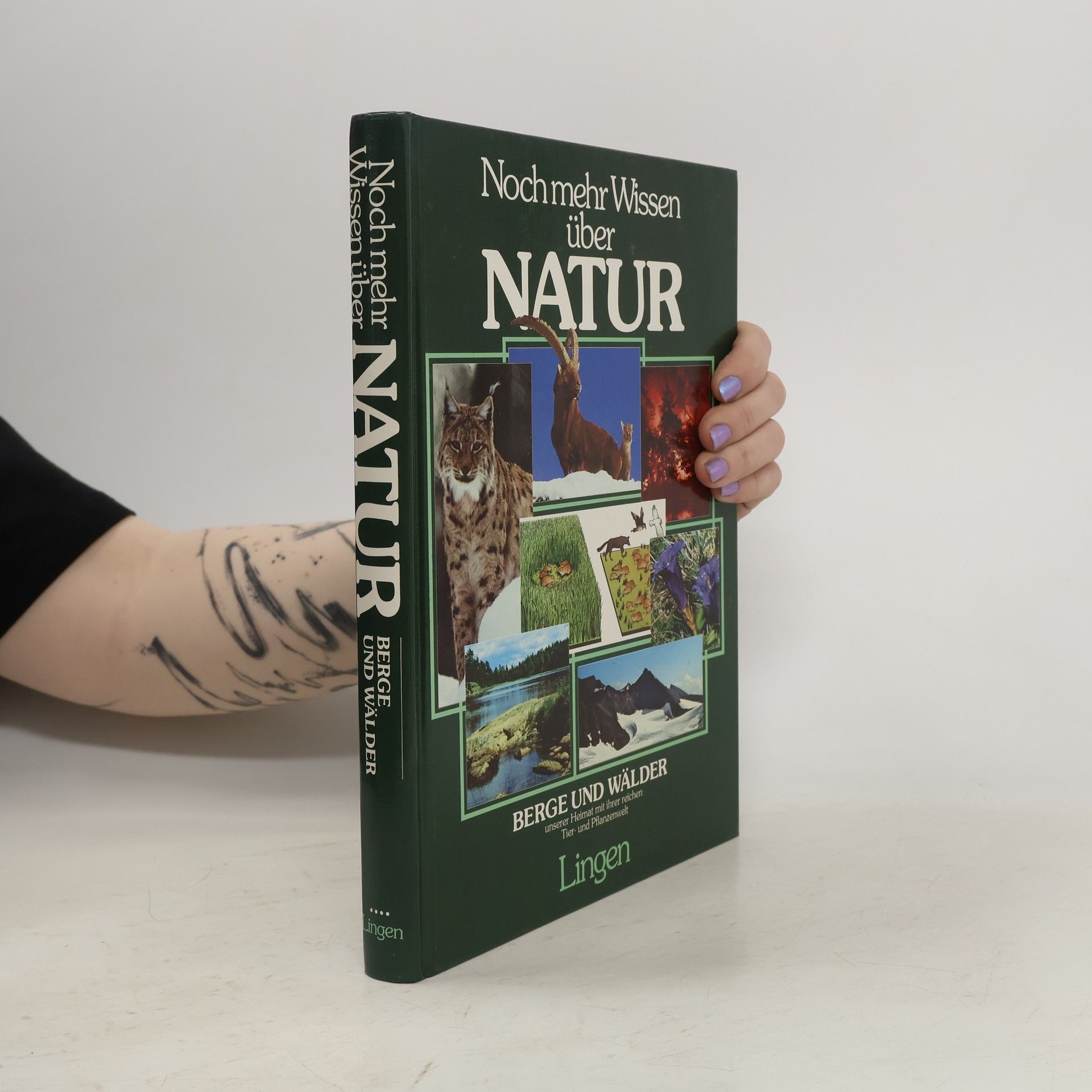 Kolektiv autorů Noch mehr Wissen über Natur. Berge und Wälder