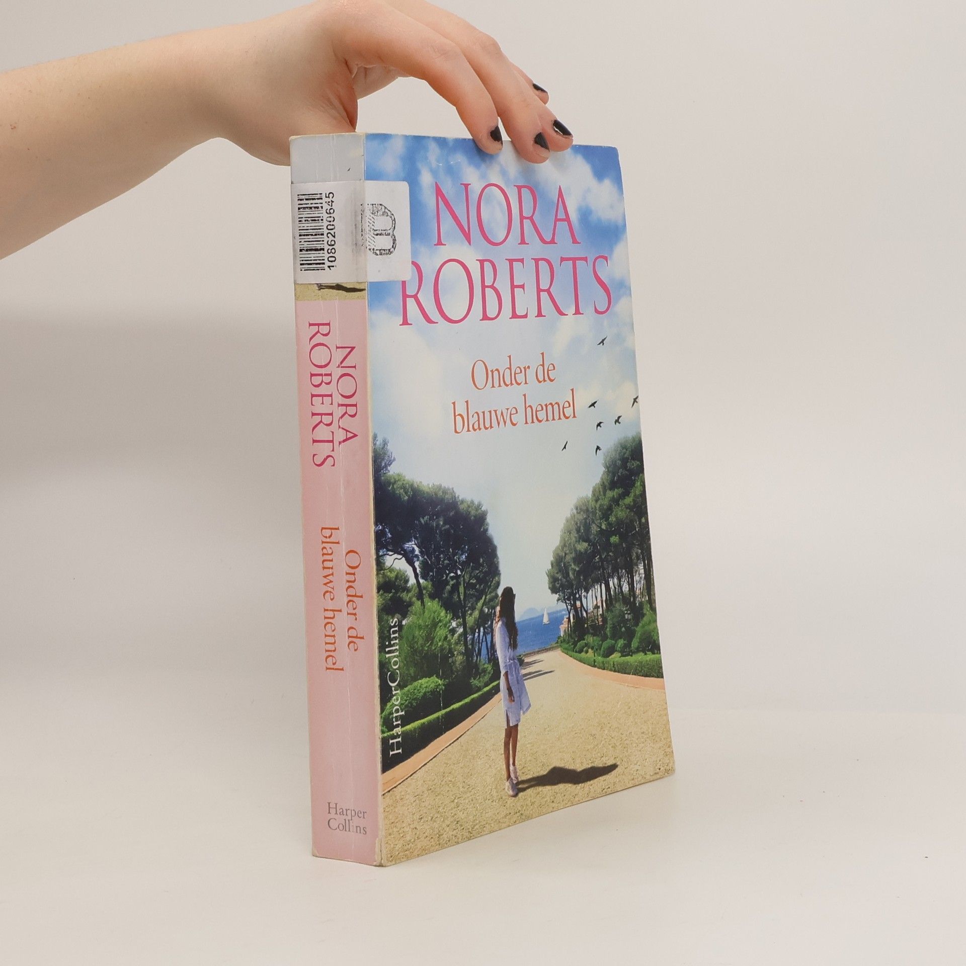 Nora Roberts Onder de blauwe hemel