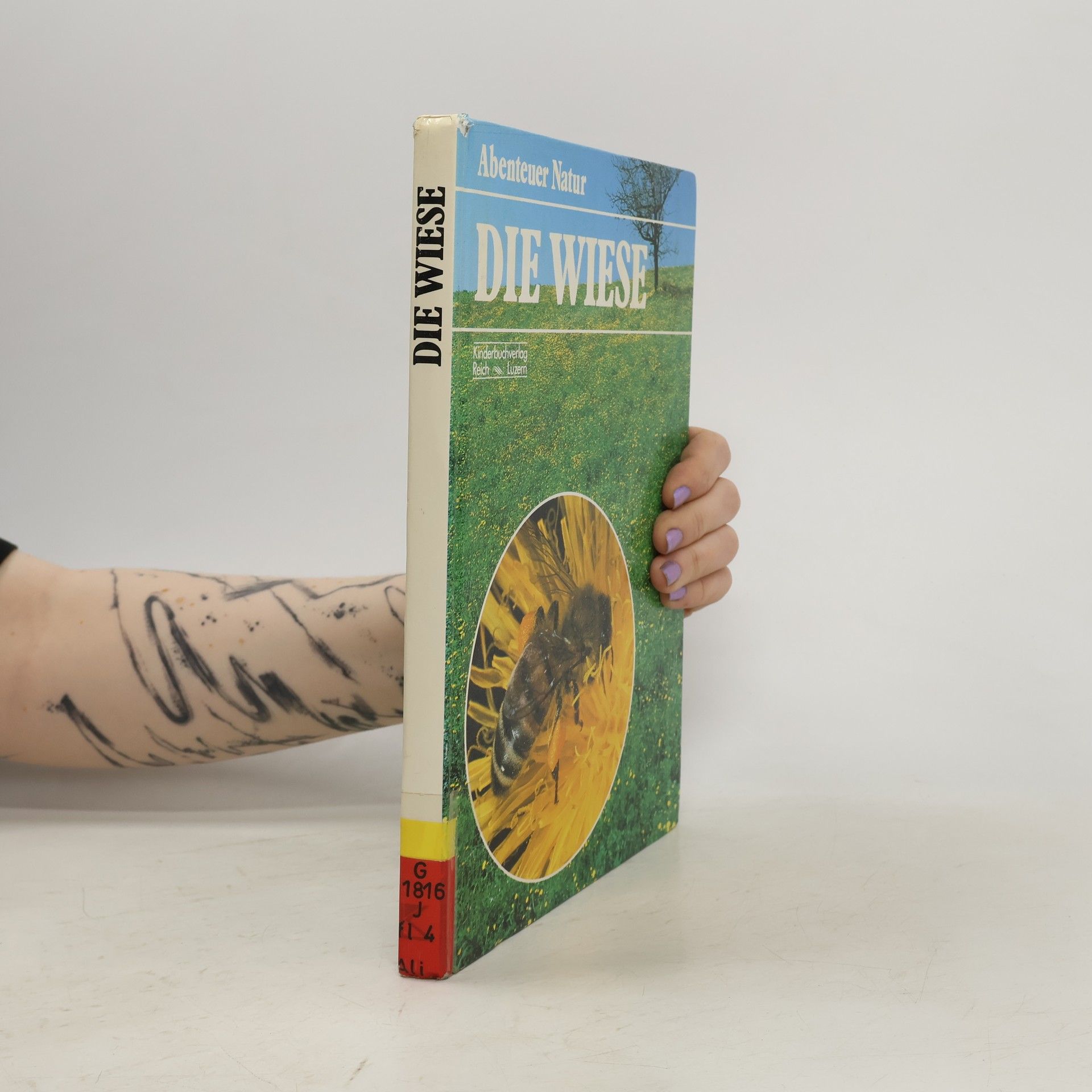 kolektiv Abenteuer Natur. Die Wiese