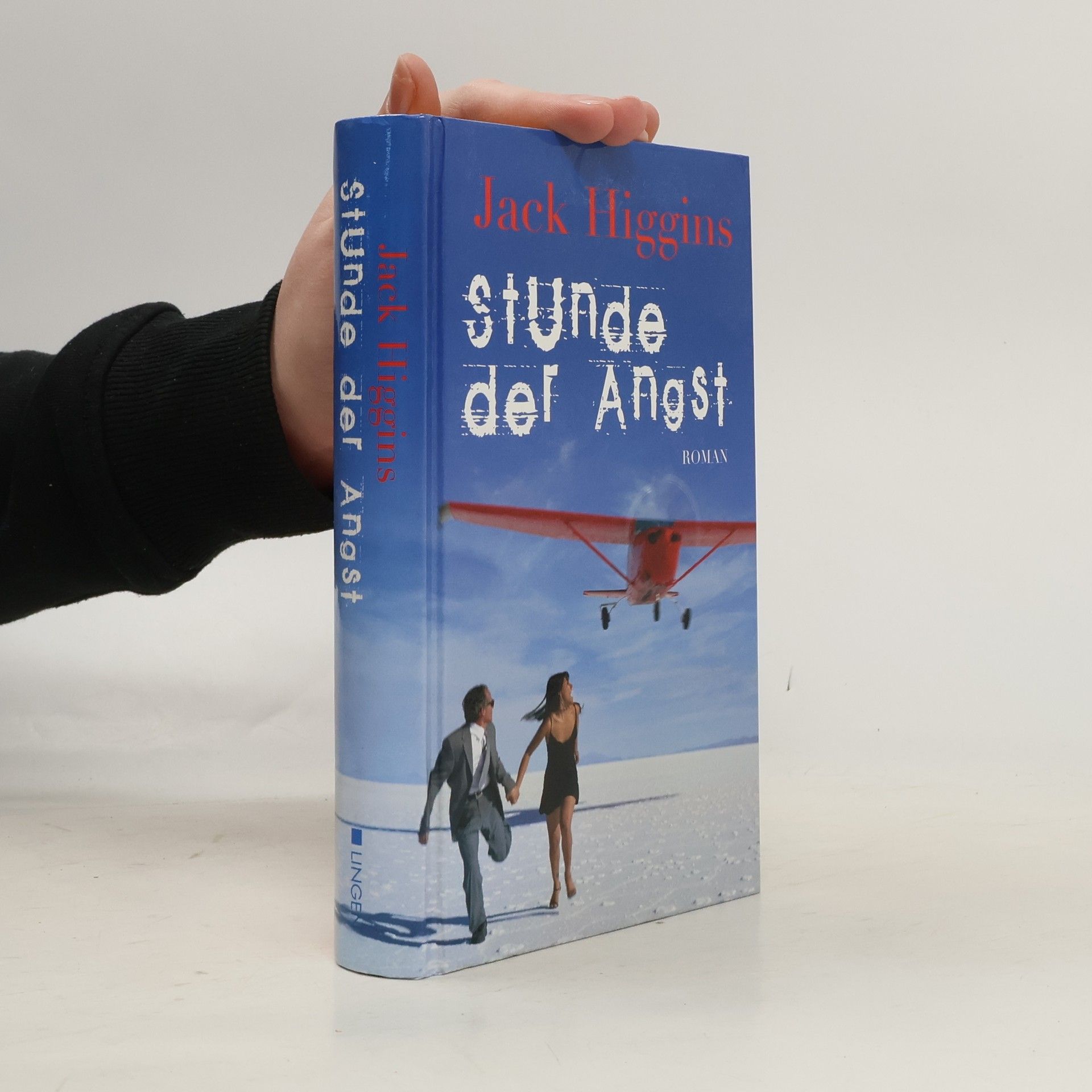 Jack Higgins Stunde der Angst