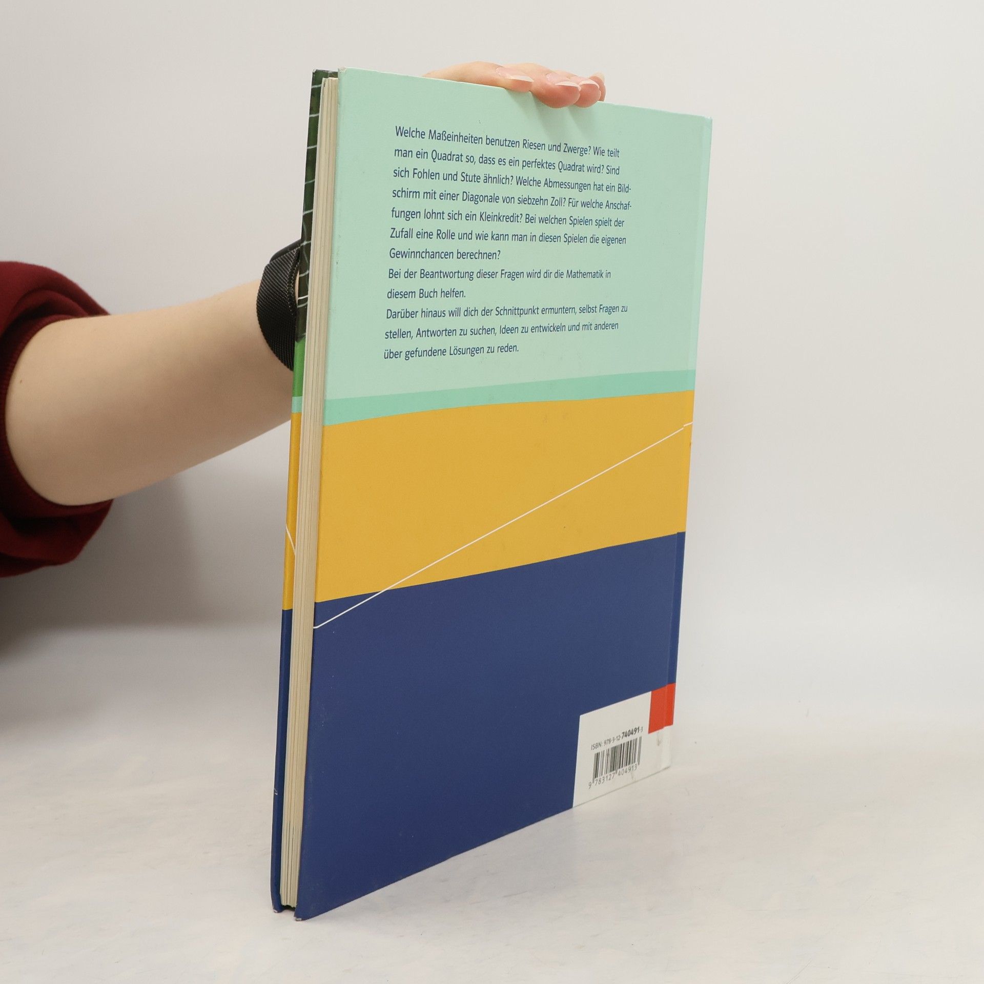 Autorenkollektiv Schnittpunkt Mathematik 9