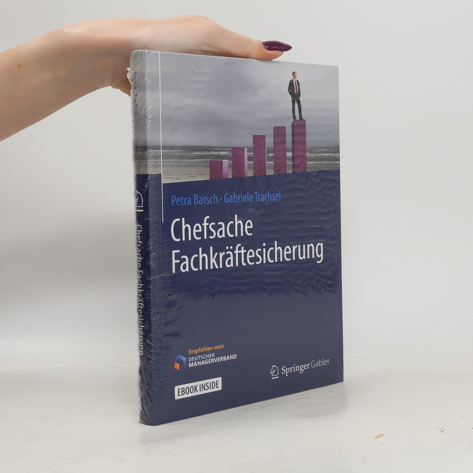 Gabriele Trachsel Chefsache Fachkräftesicherung: E-Book inside