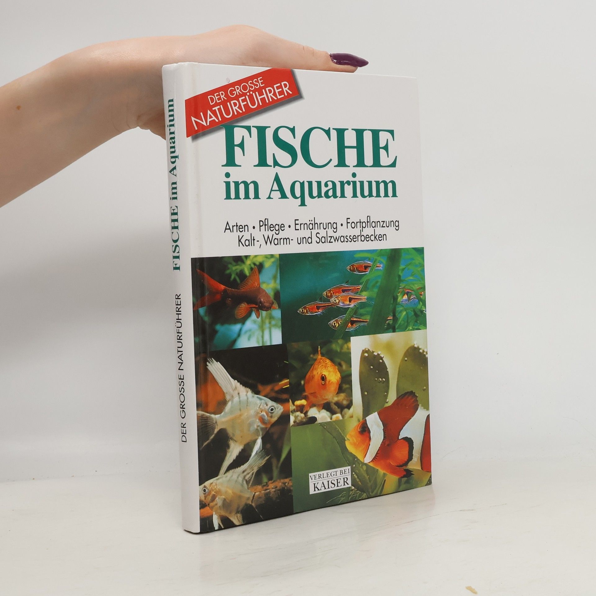 Mauro Mariani Fische im Aquarium