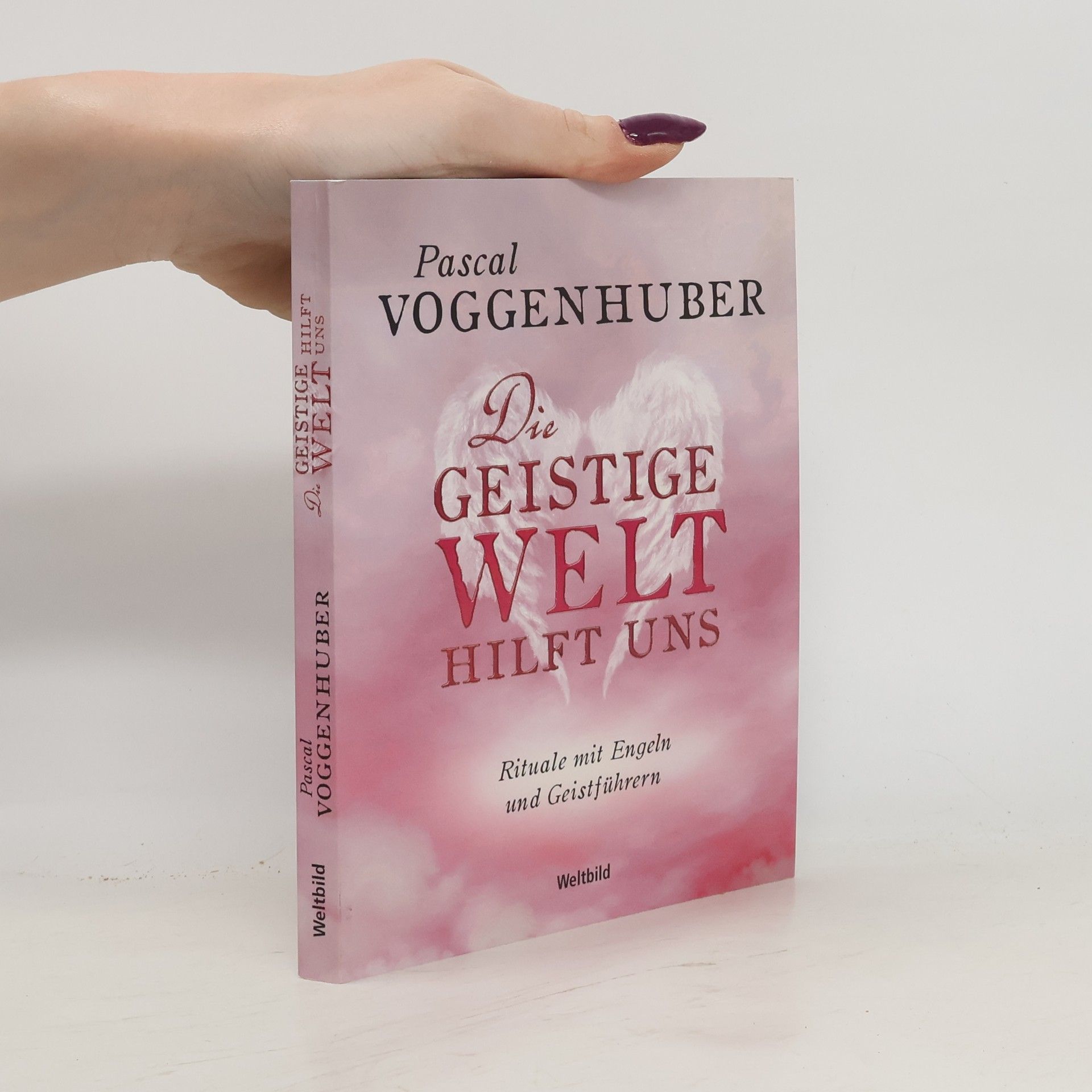 Pascal Voggenhuber Die geistige Welt hilt uns