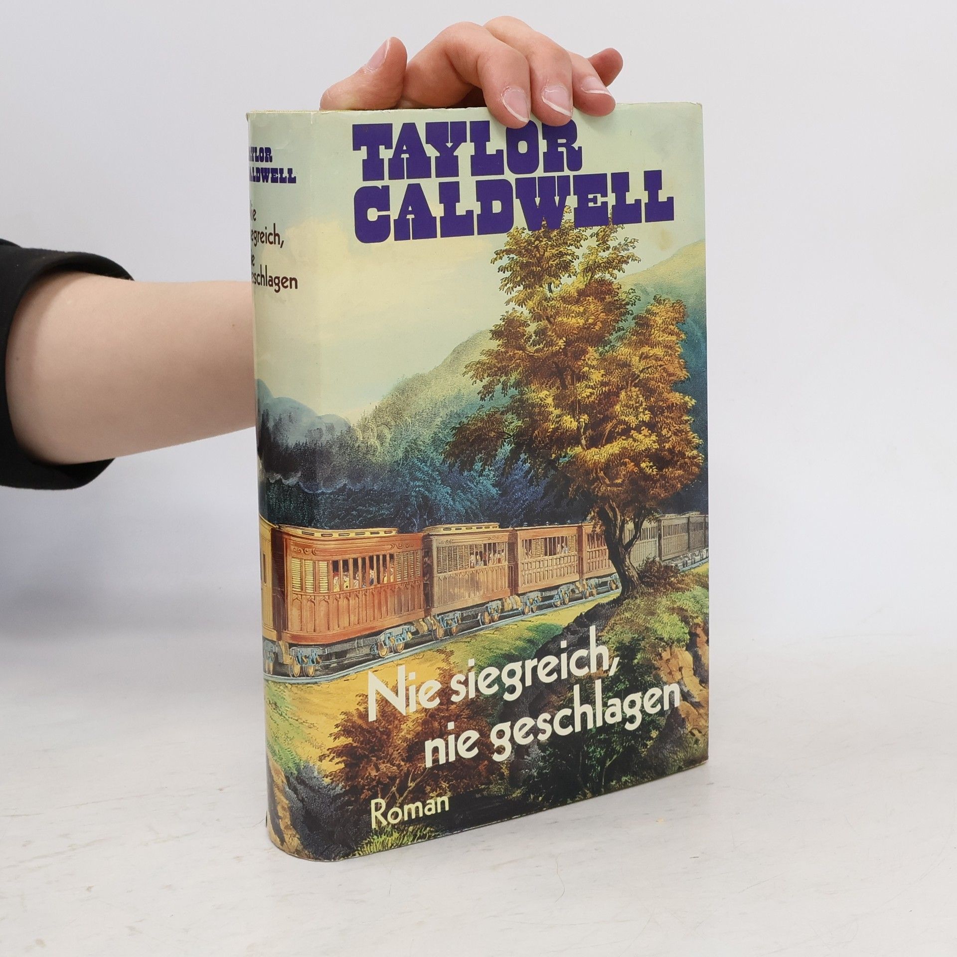 Nie siegreich nie geschlagen