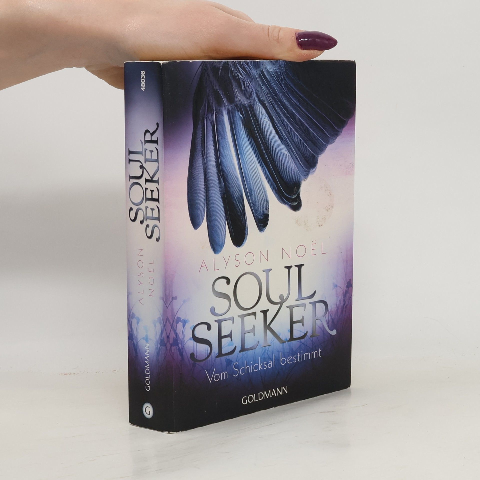 Soul Seeker : Vom Schicksal bestimmt