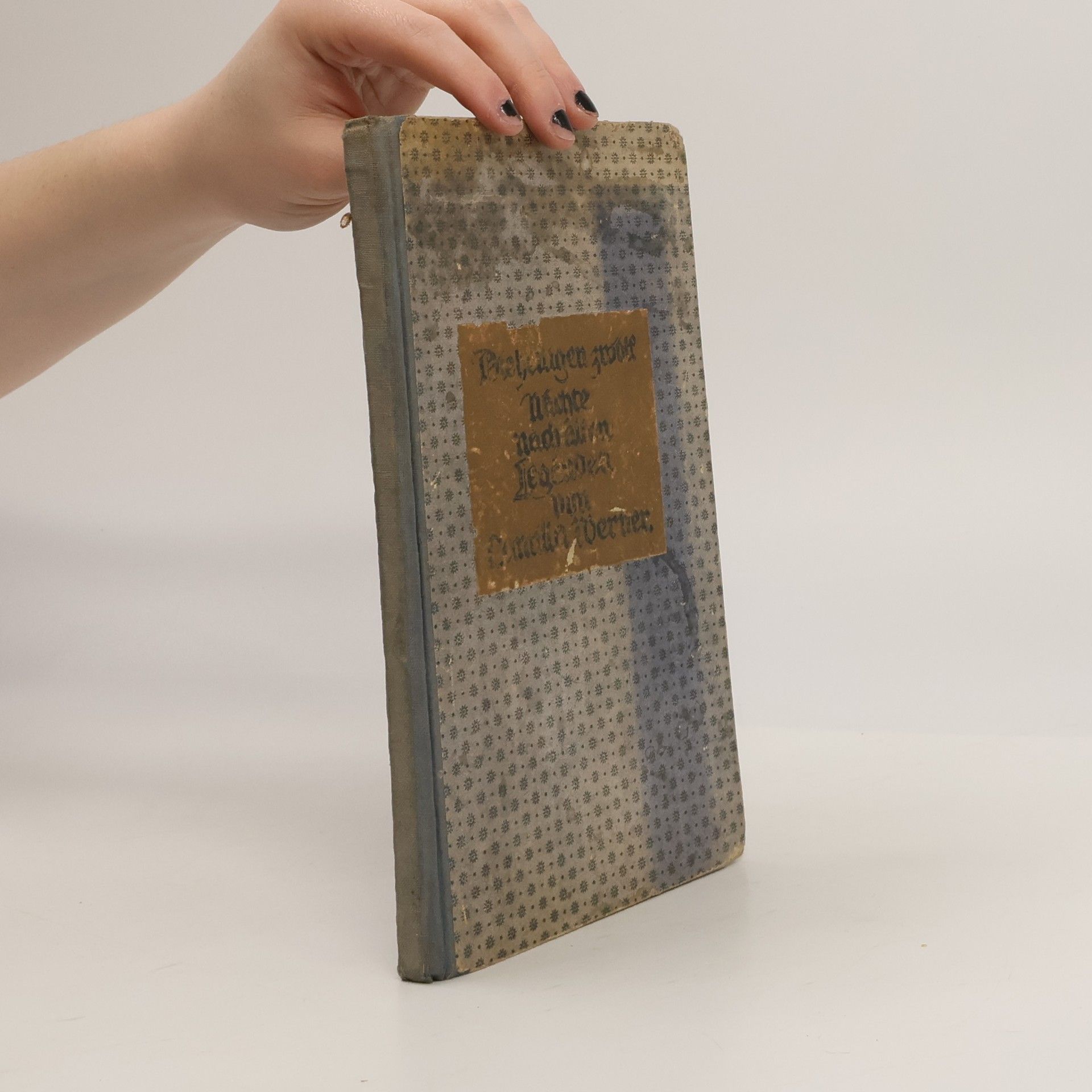 Camilla Werner Die heiligen zwölf Nächte