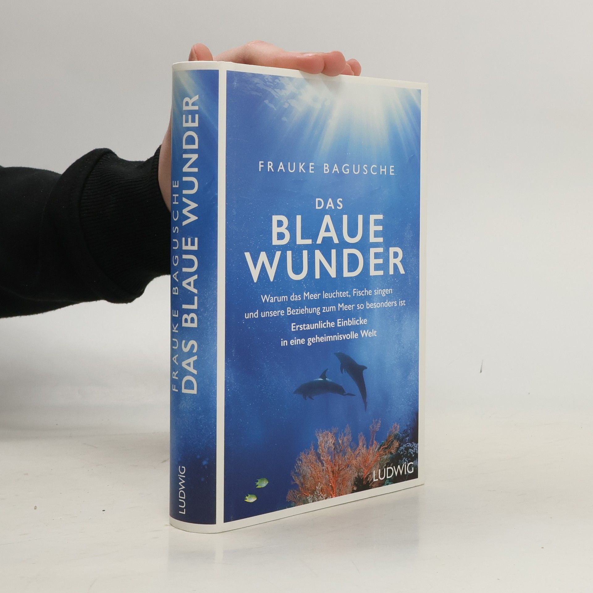Frauke Bagusche Das blaue Wunder