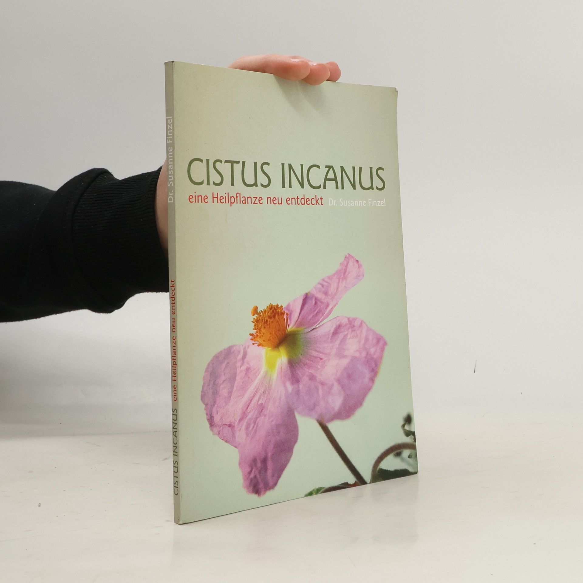 Susanne Finzel Cistus Incanus