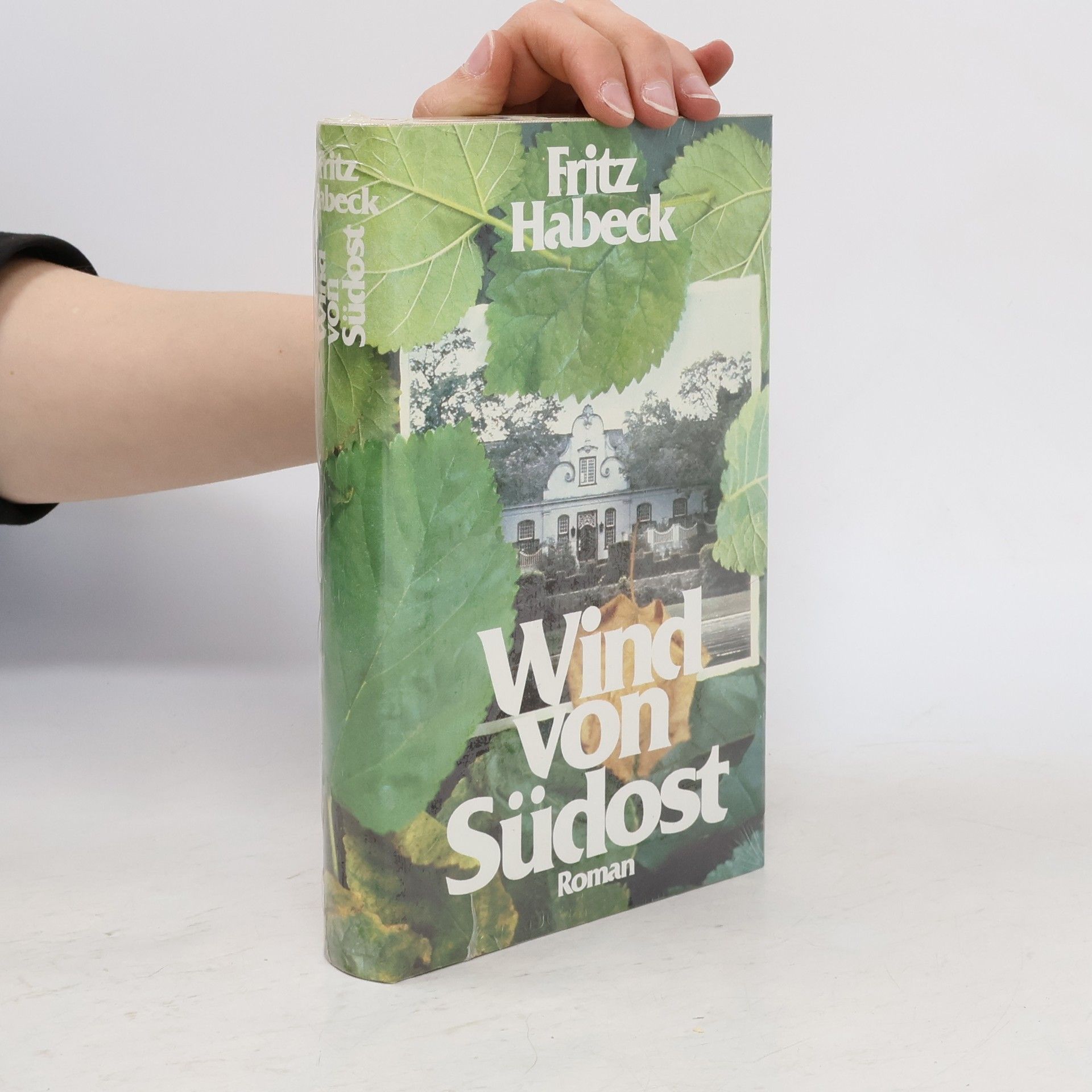 Fritz Habeck Wind von Südost