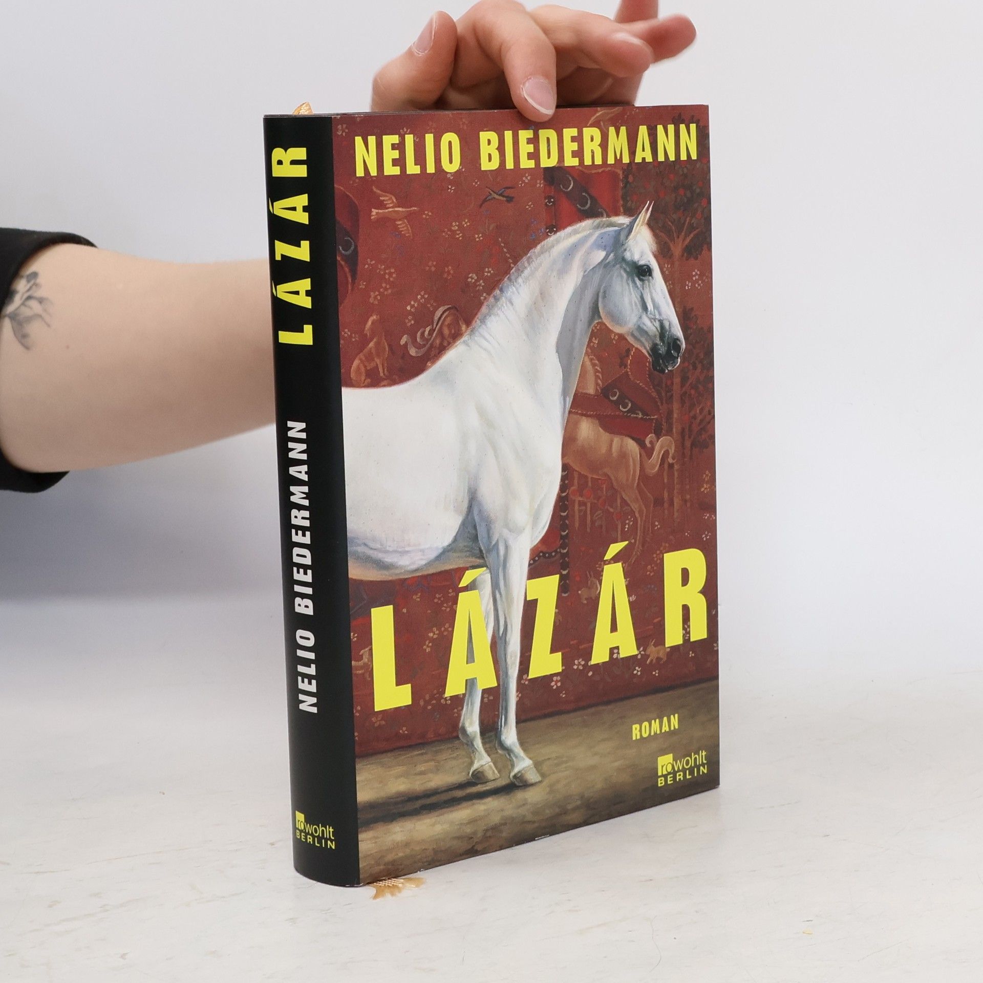 Hanjo Lehmann Die Truhen des Arcimboldo