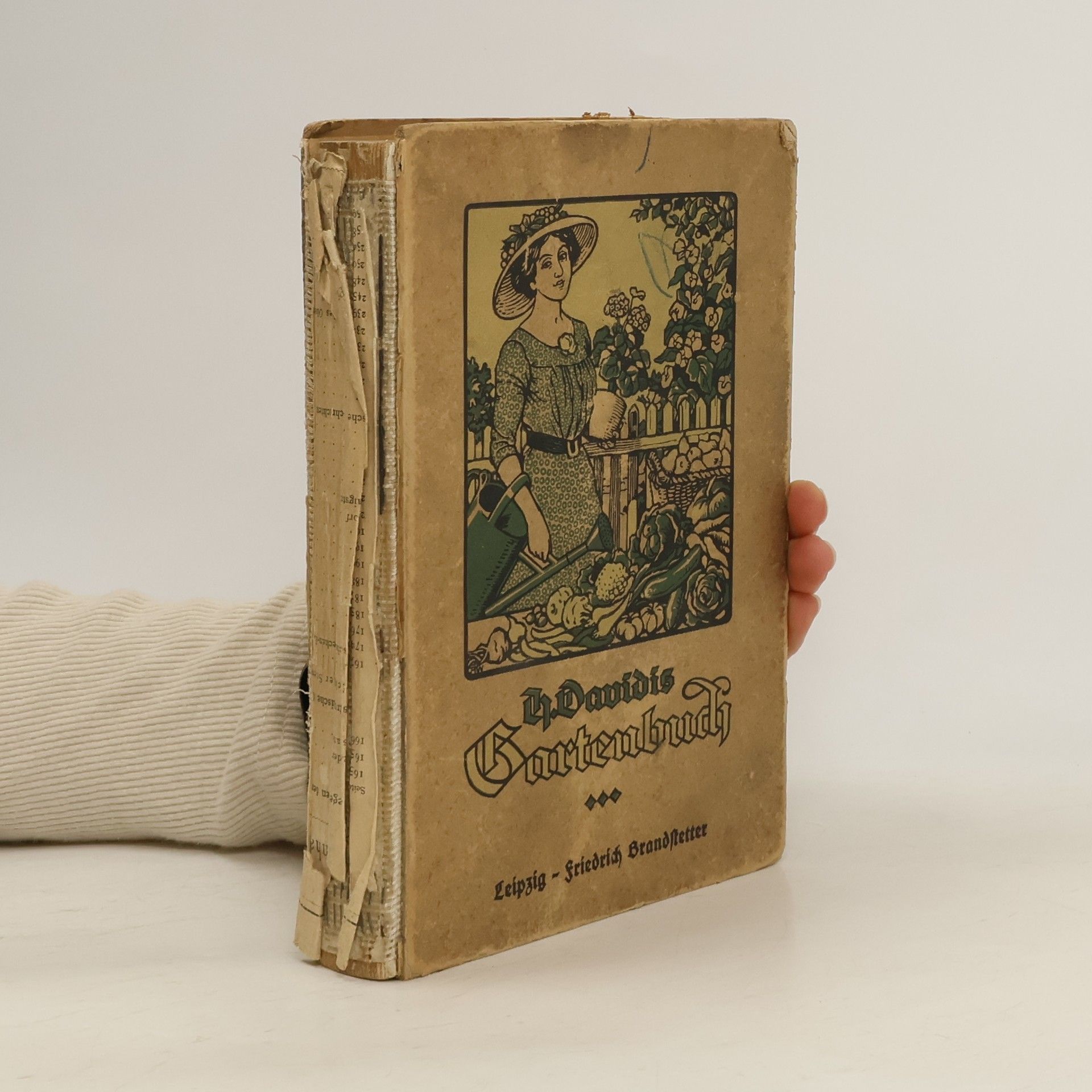 Küchen- und Blumen-Garten für Hausfrauen